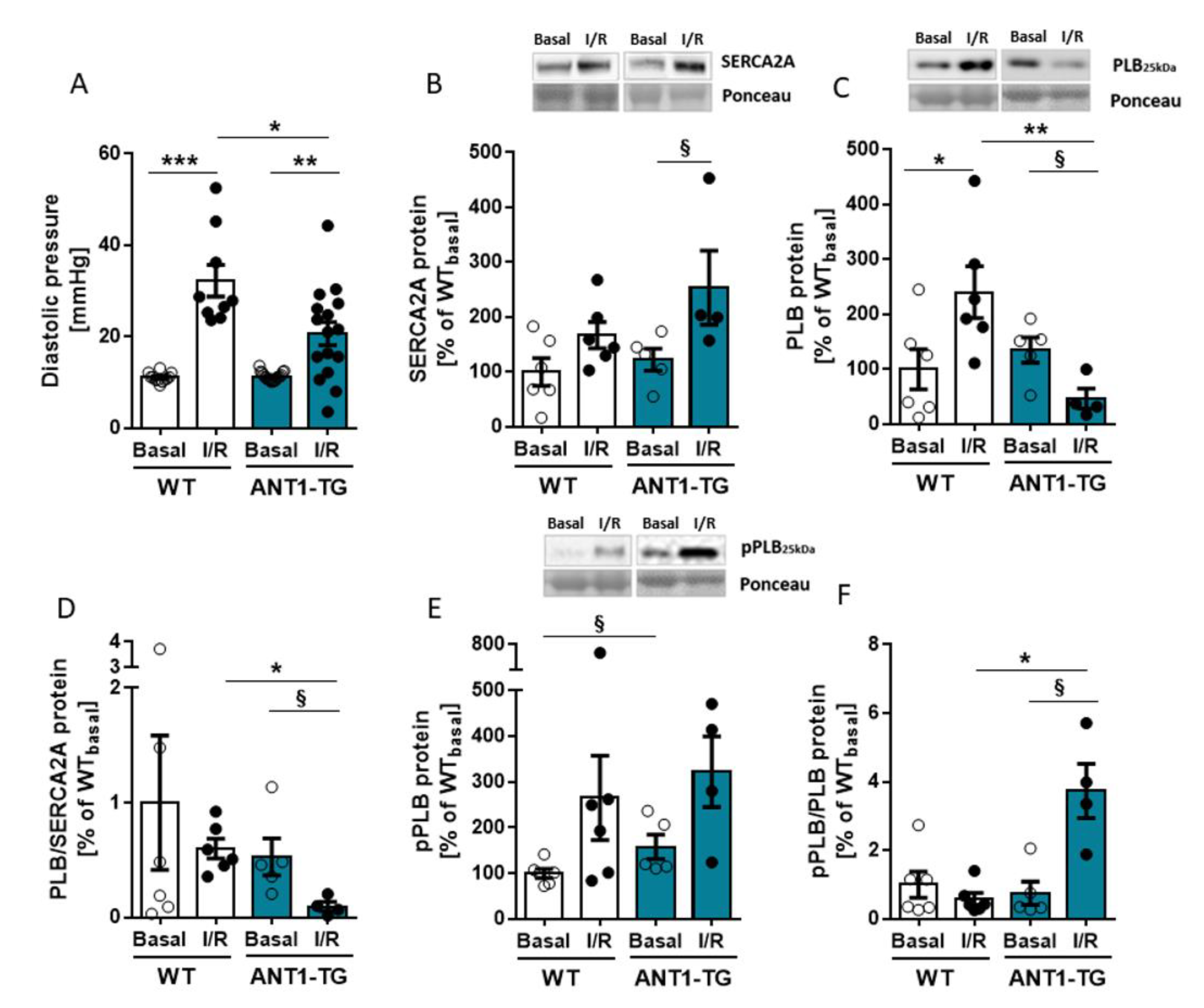 Membranes 11 00836 g005