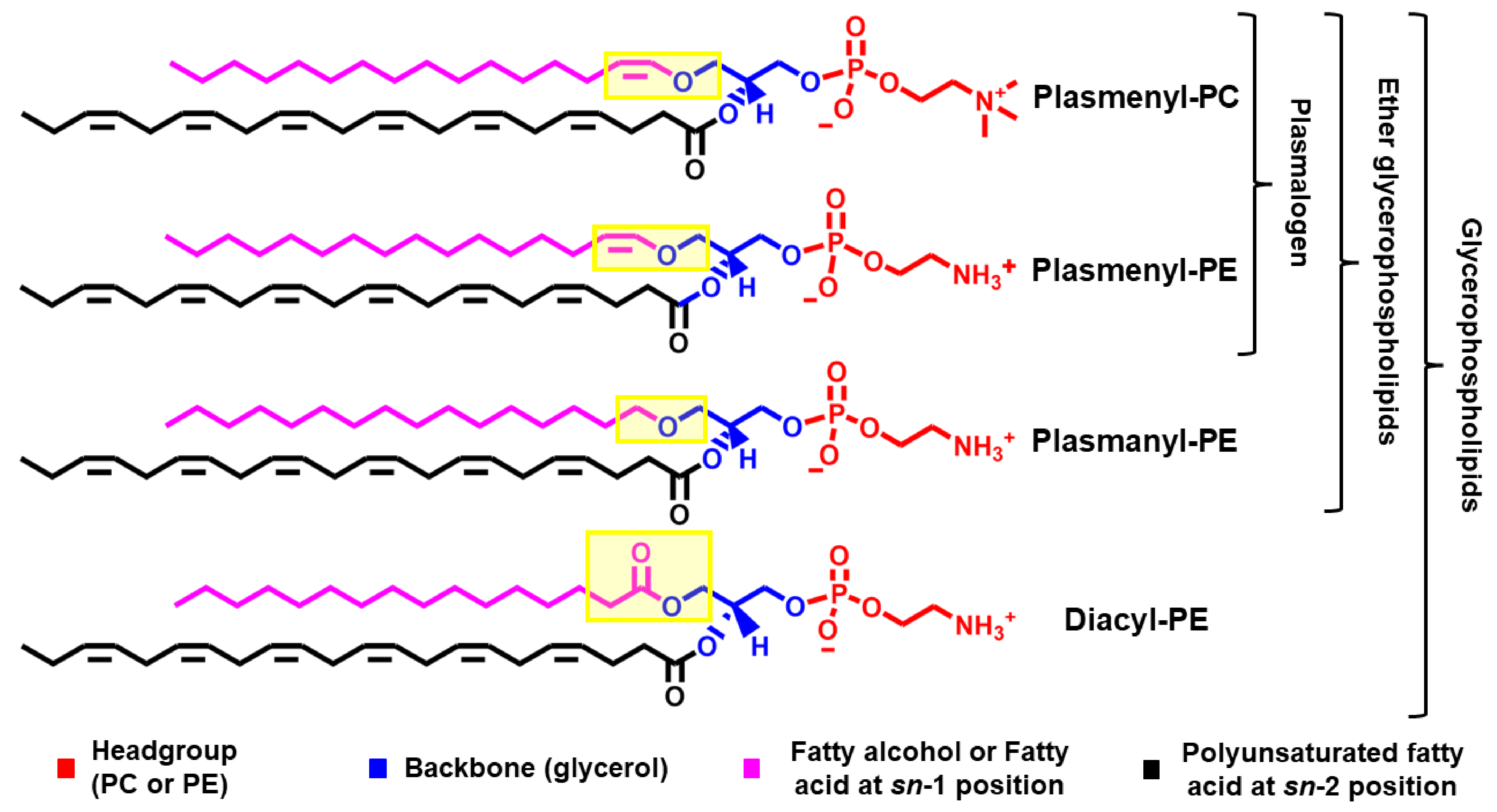 Membranes 11 00838 g001