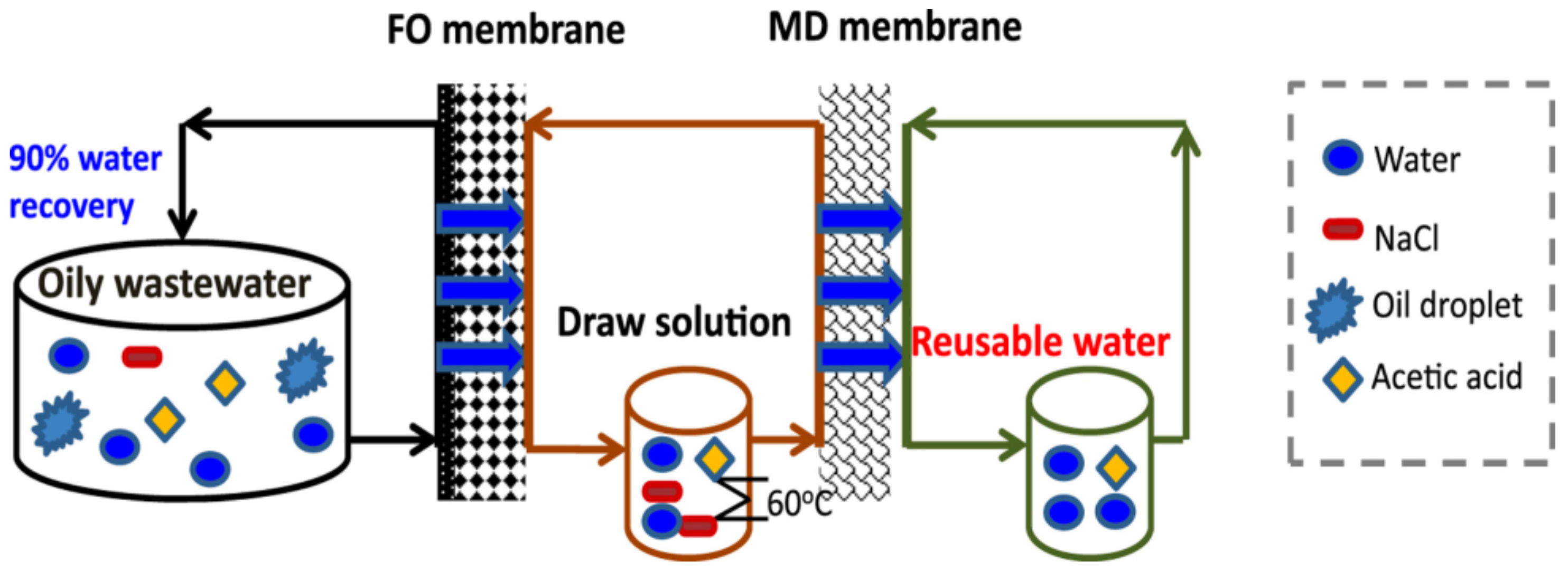 Membranes 11 00839 g005