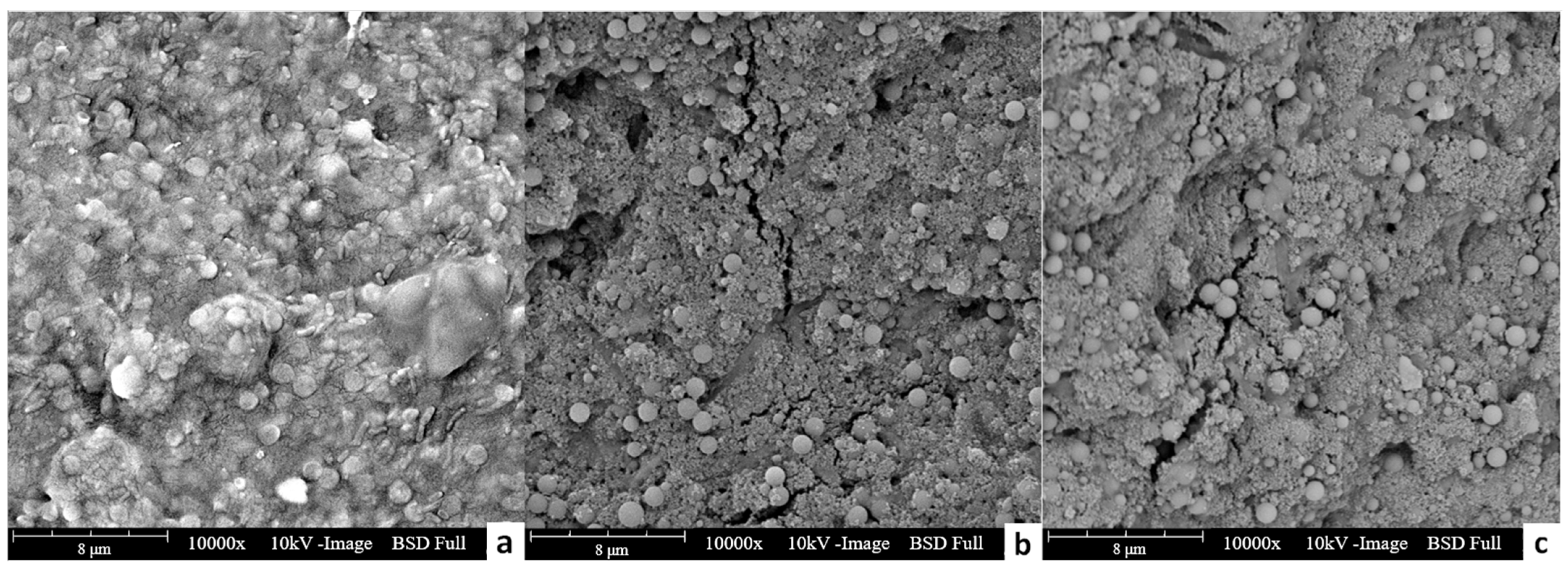Membranes 11 00845 g006 550