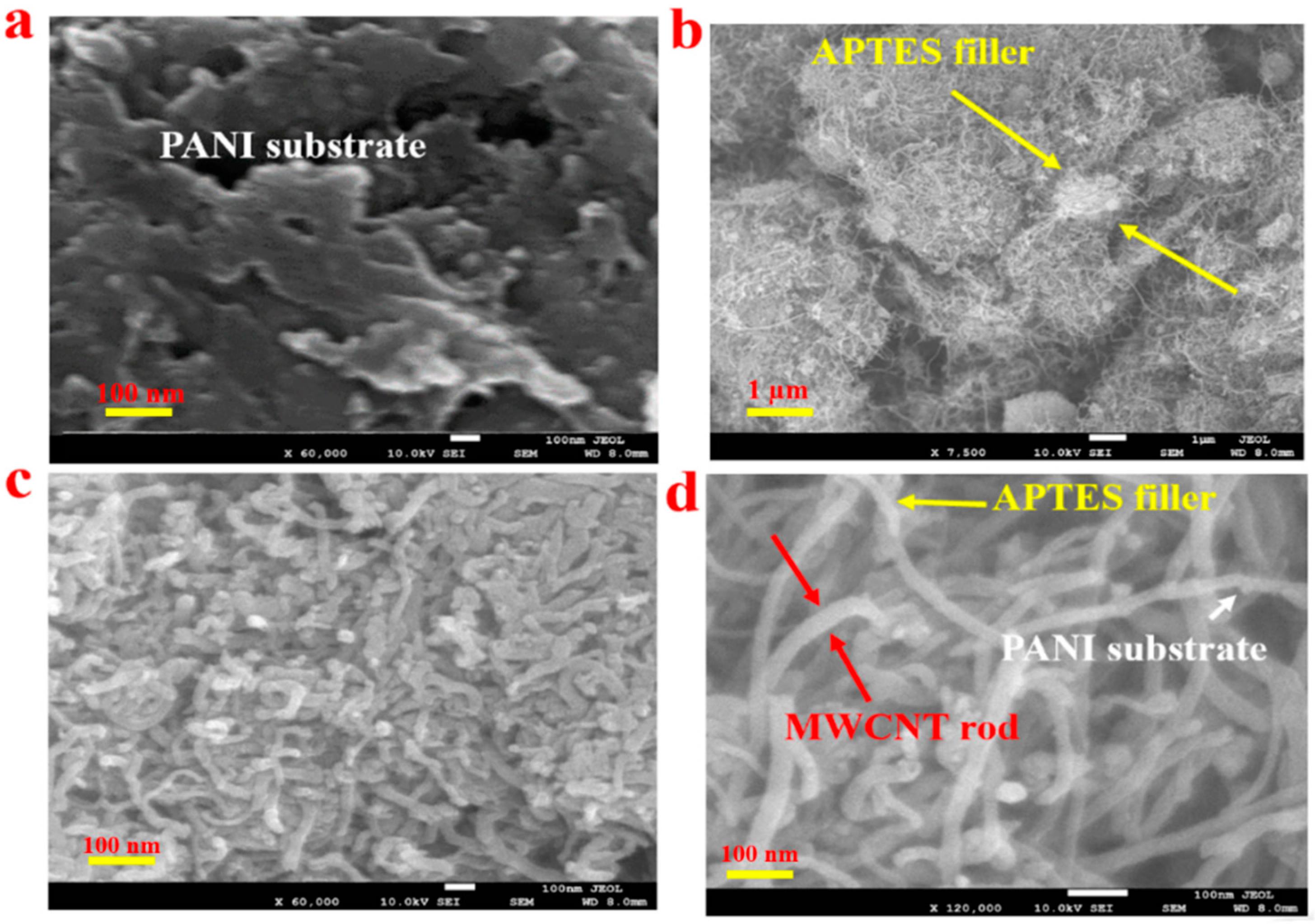 Membranes 11 00853 g001