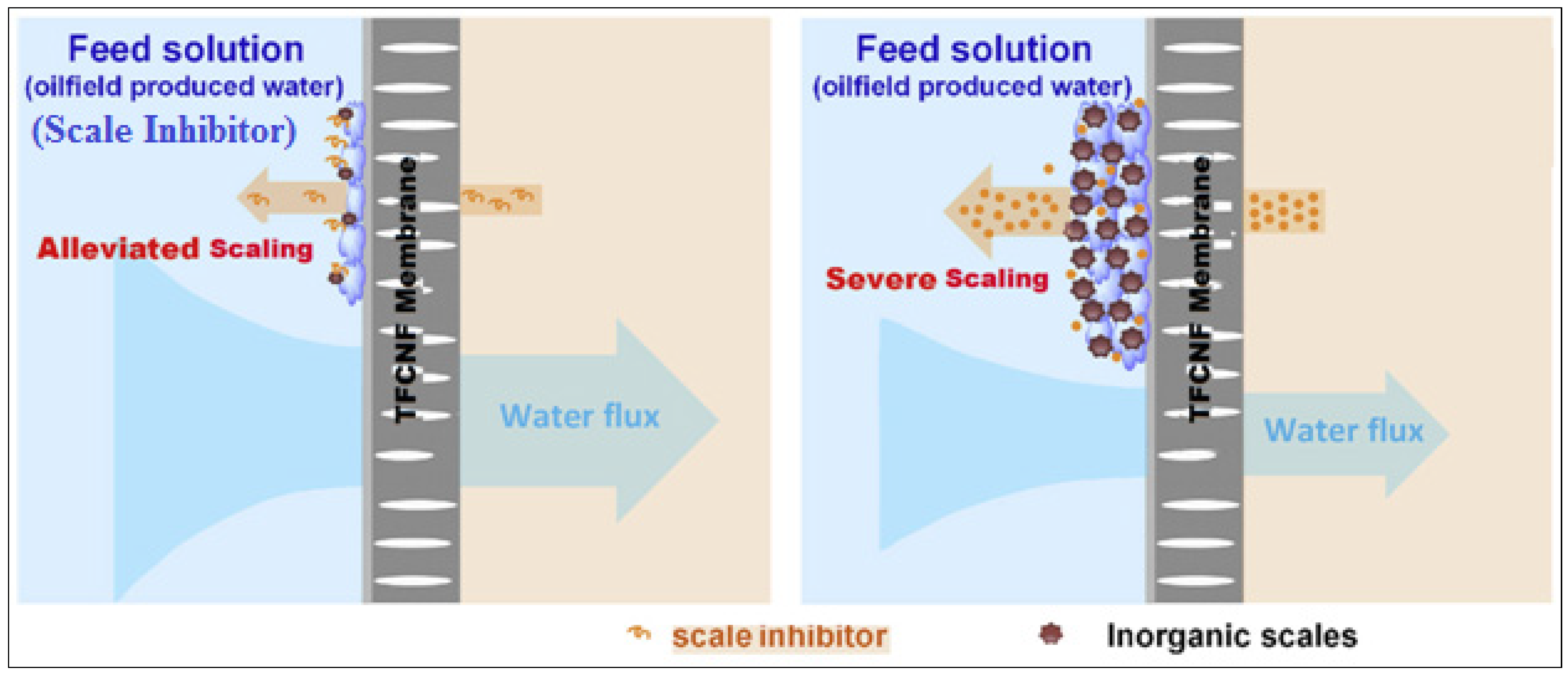 Membranes 11 00855 g015