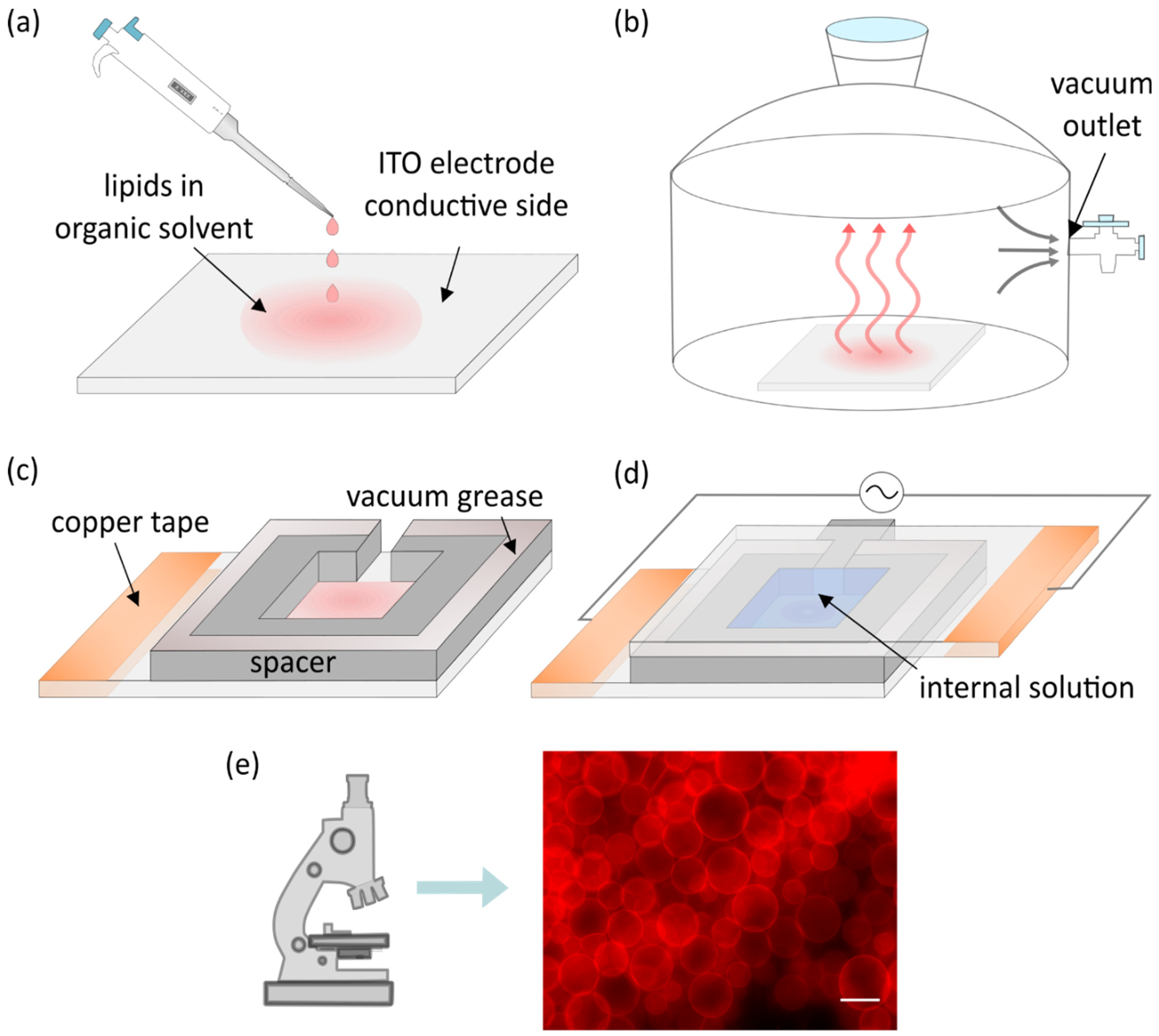 Membranes 11 00860 g001