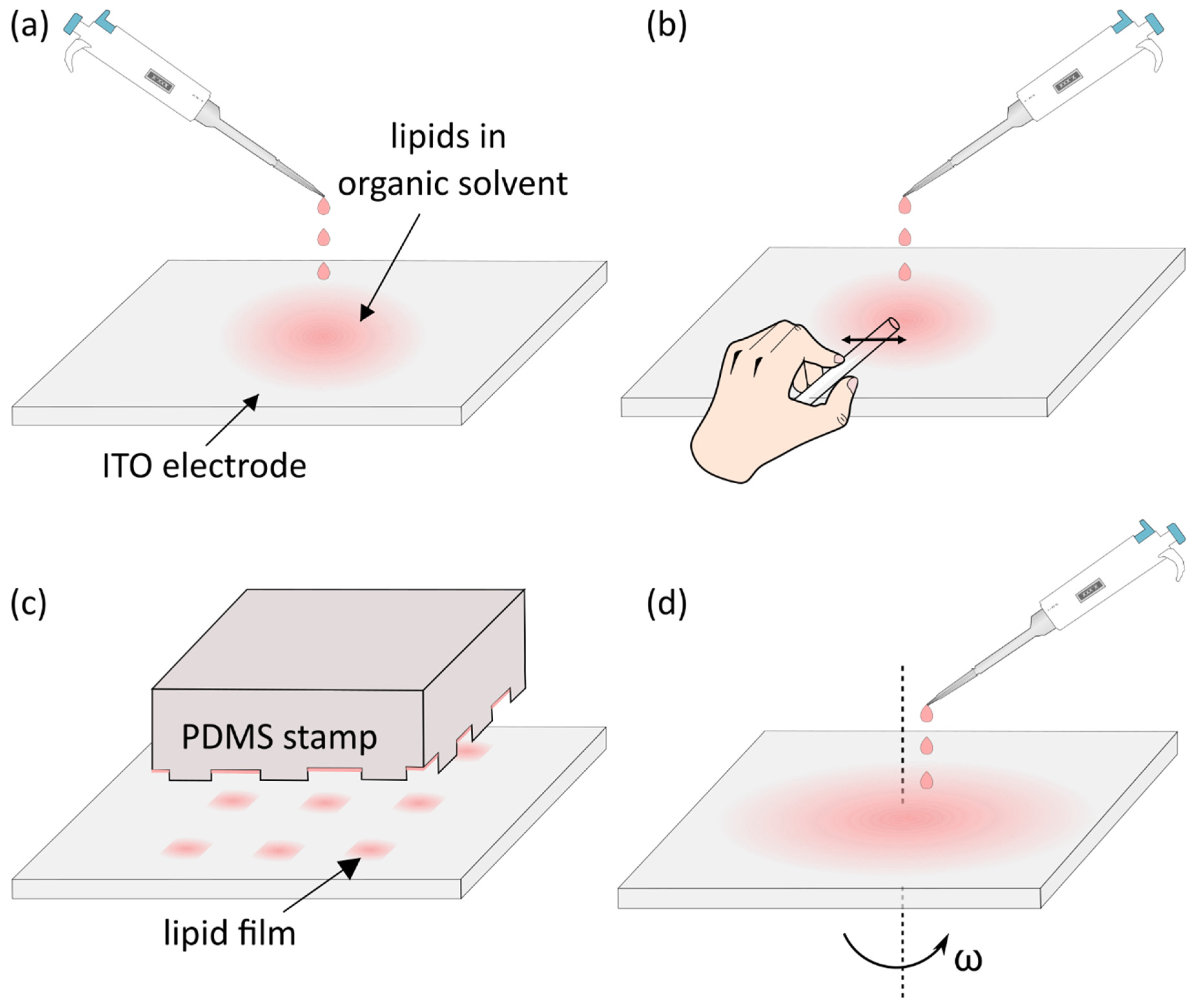 Membranes 11 00860 g003