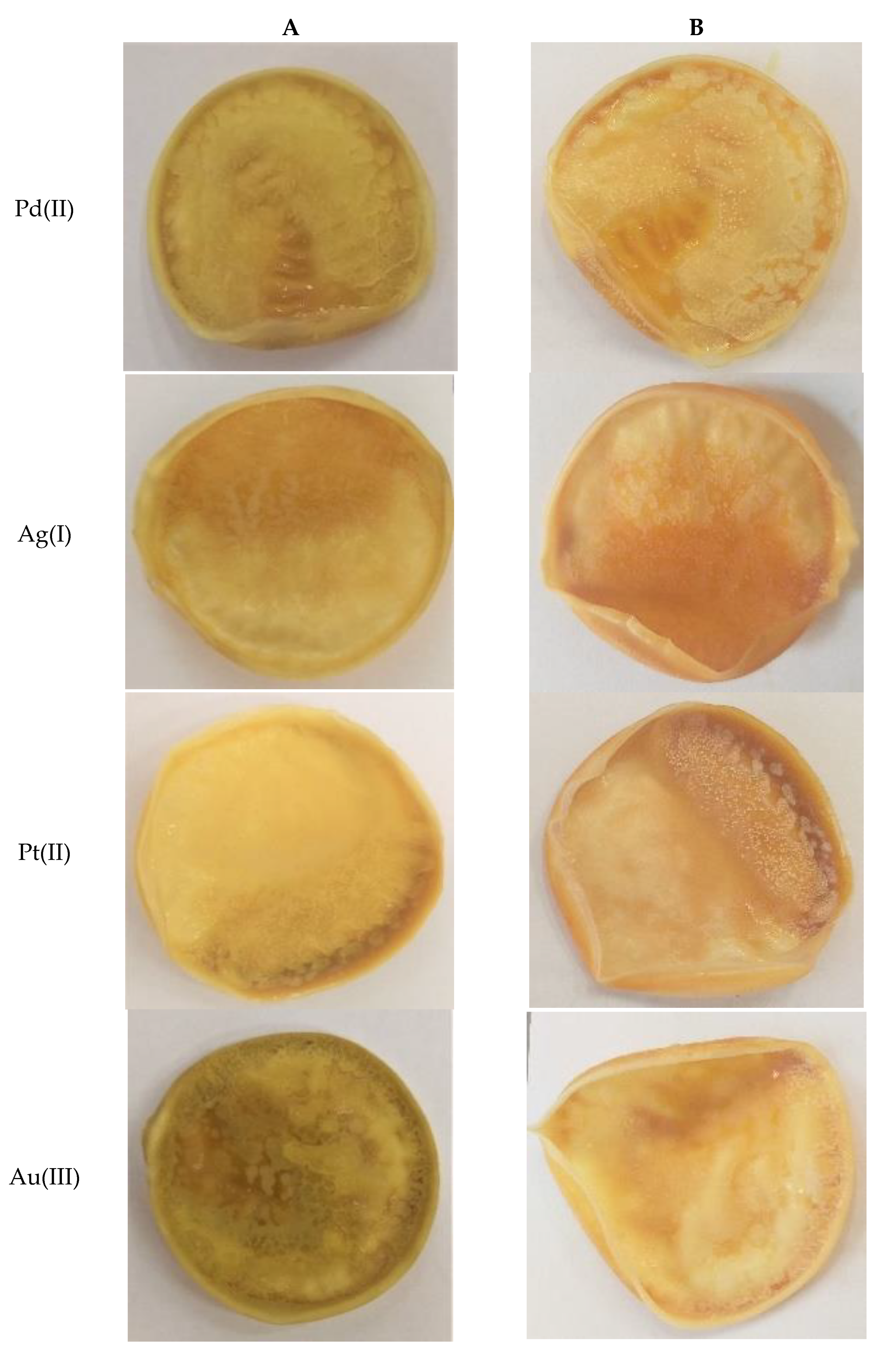 Membranes 11 00863 g005a