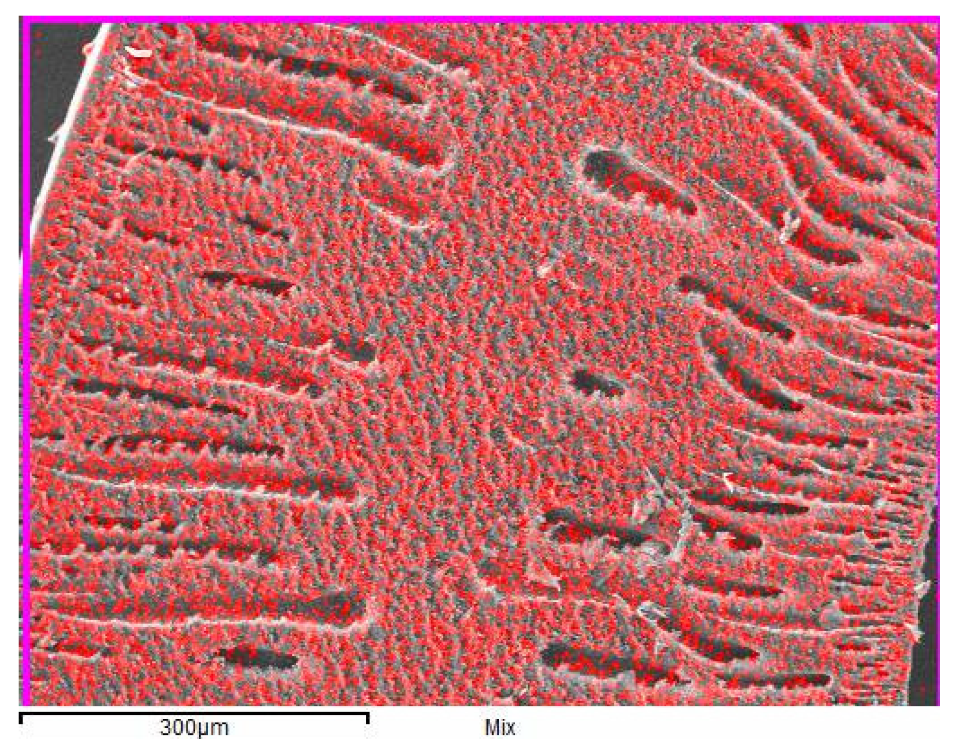 Membranes 11 00865 g001