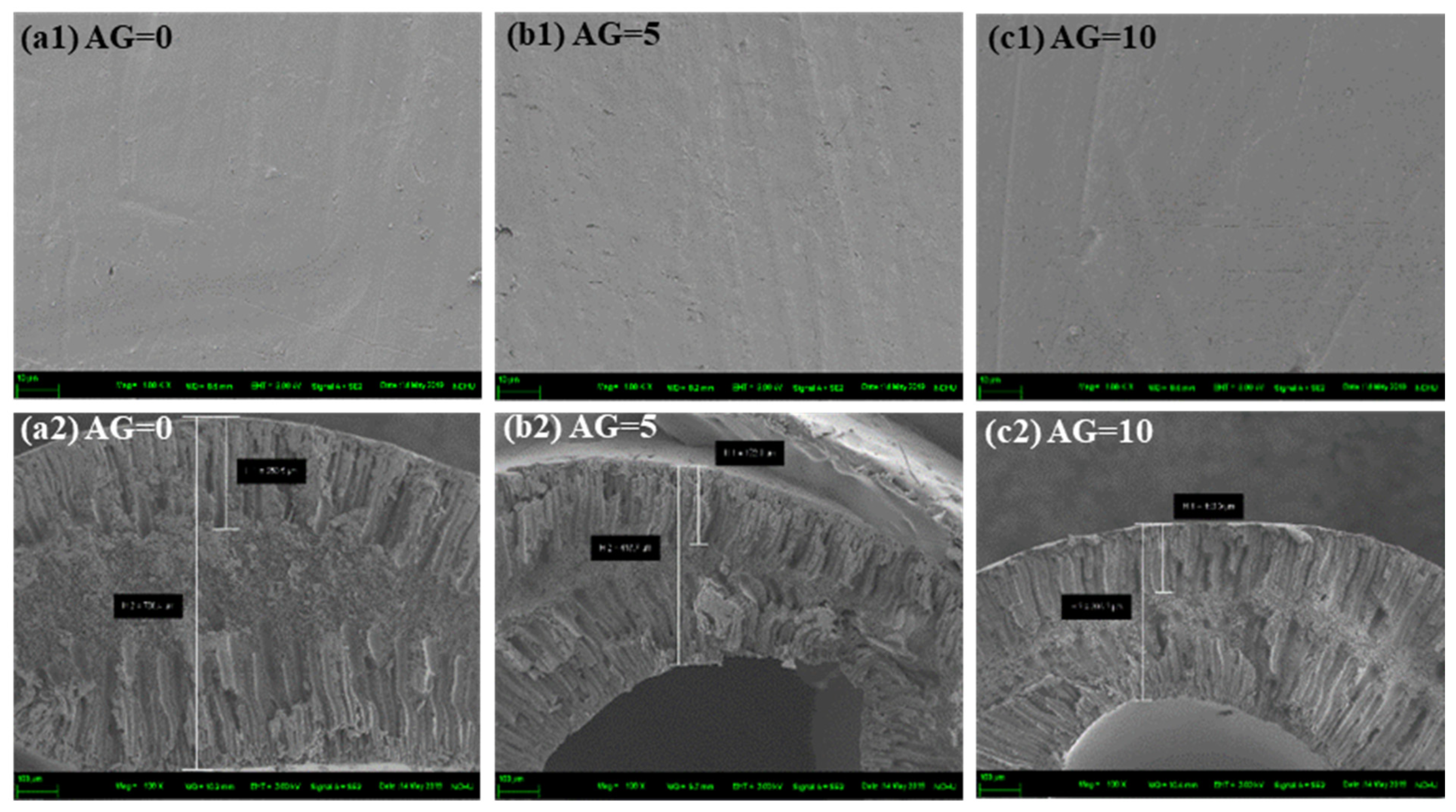 Membranes 11 00865 g002