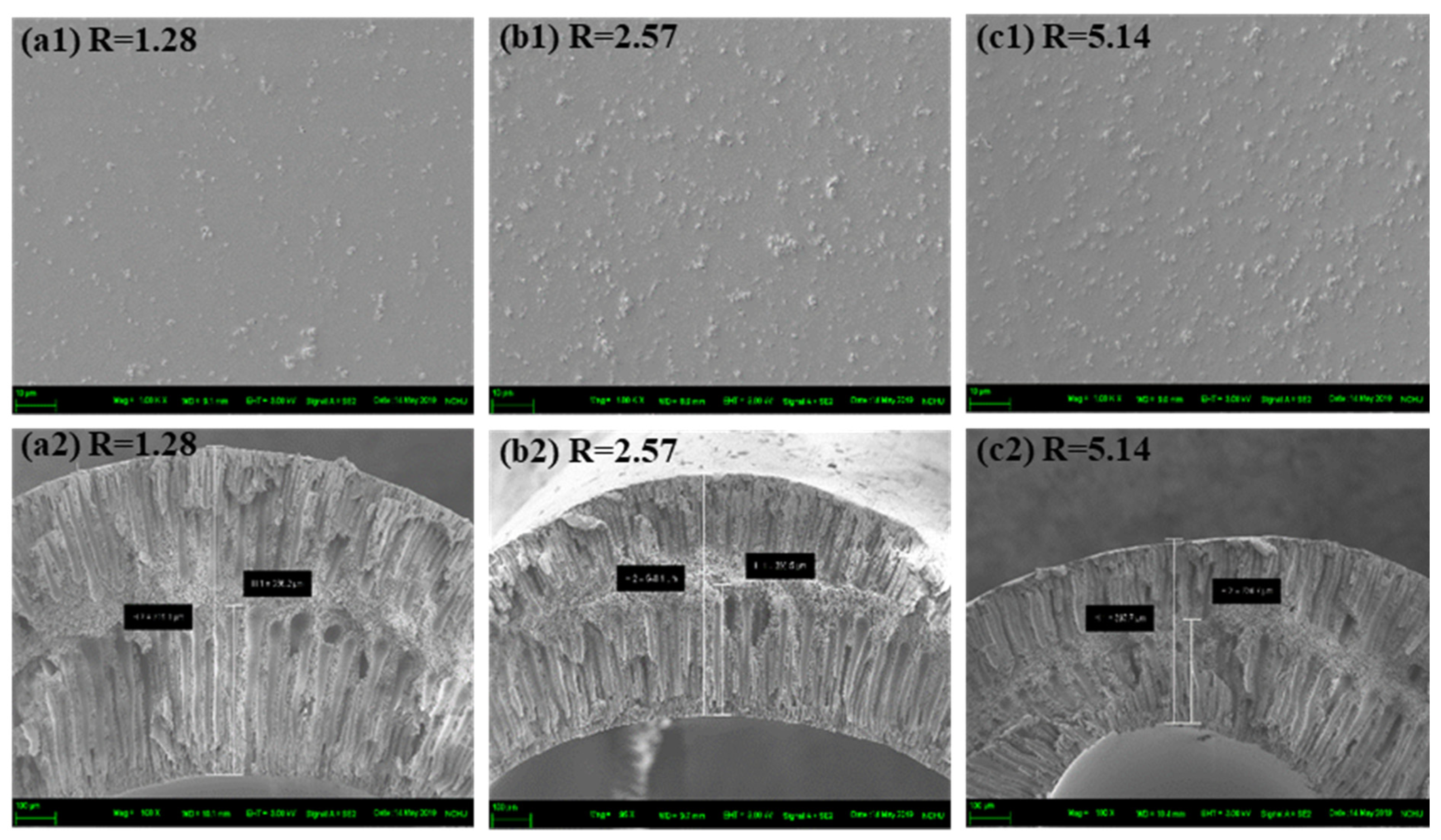 Membranes 11 00865 g003