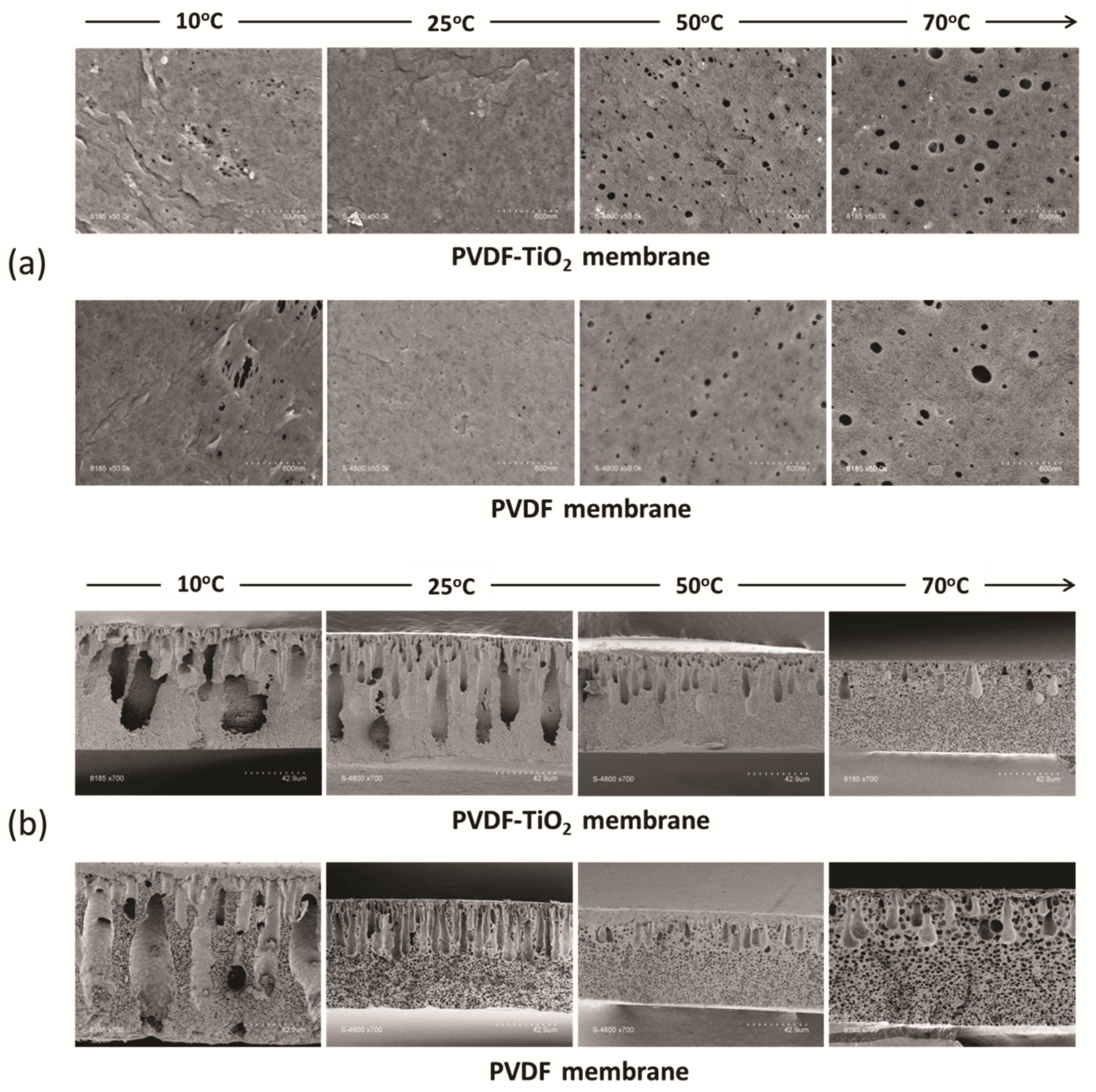 Membranes 11 00876 g006 550