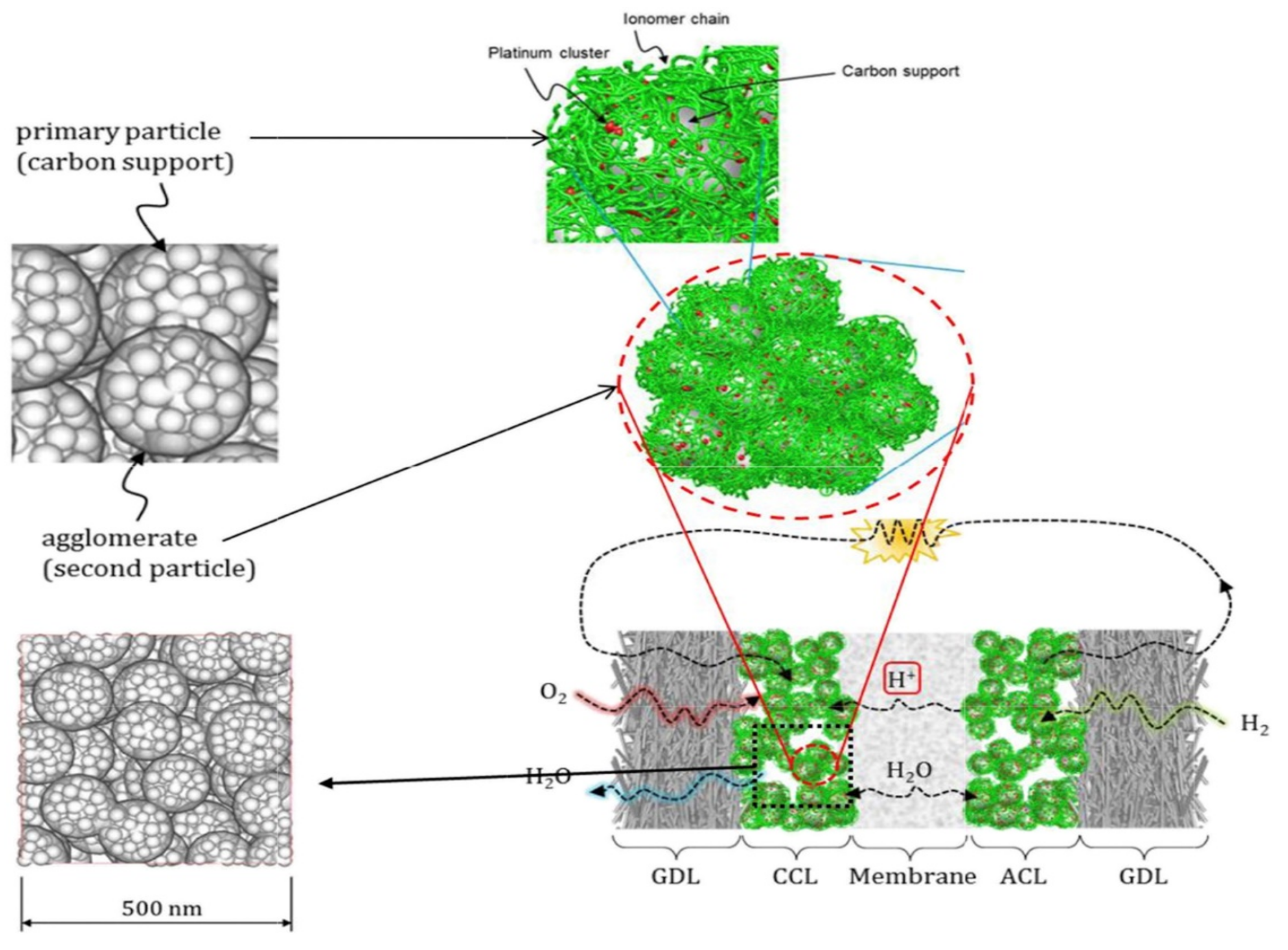 Membranes 11 00879 g003