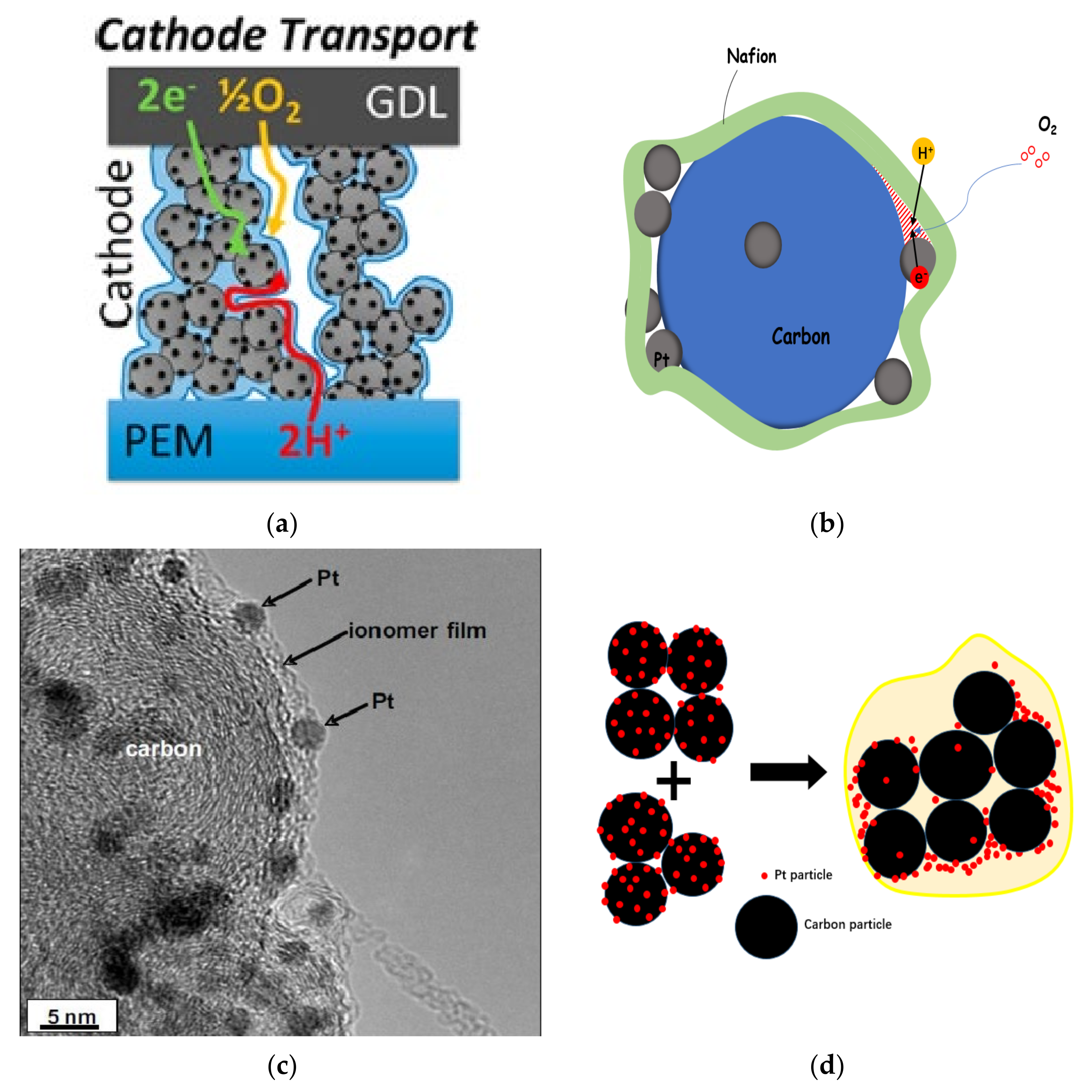 Membranes 11 00879 g004