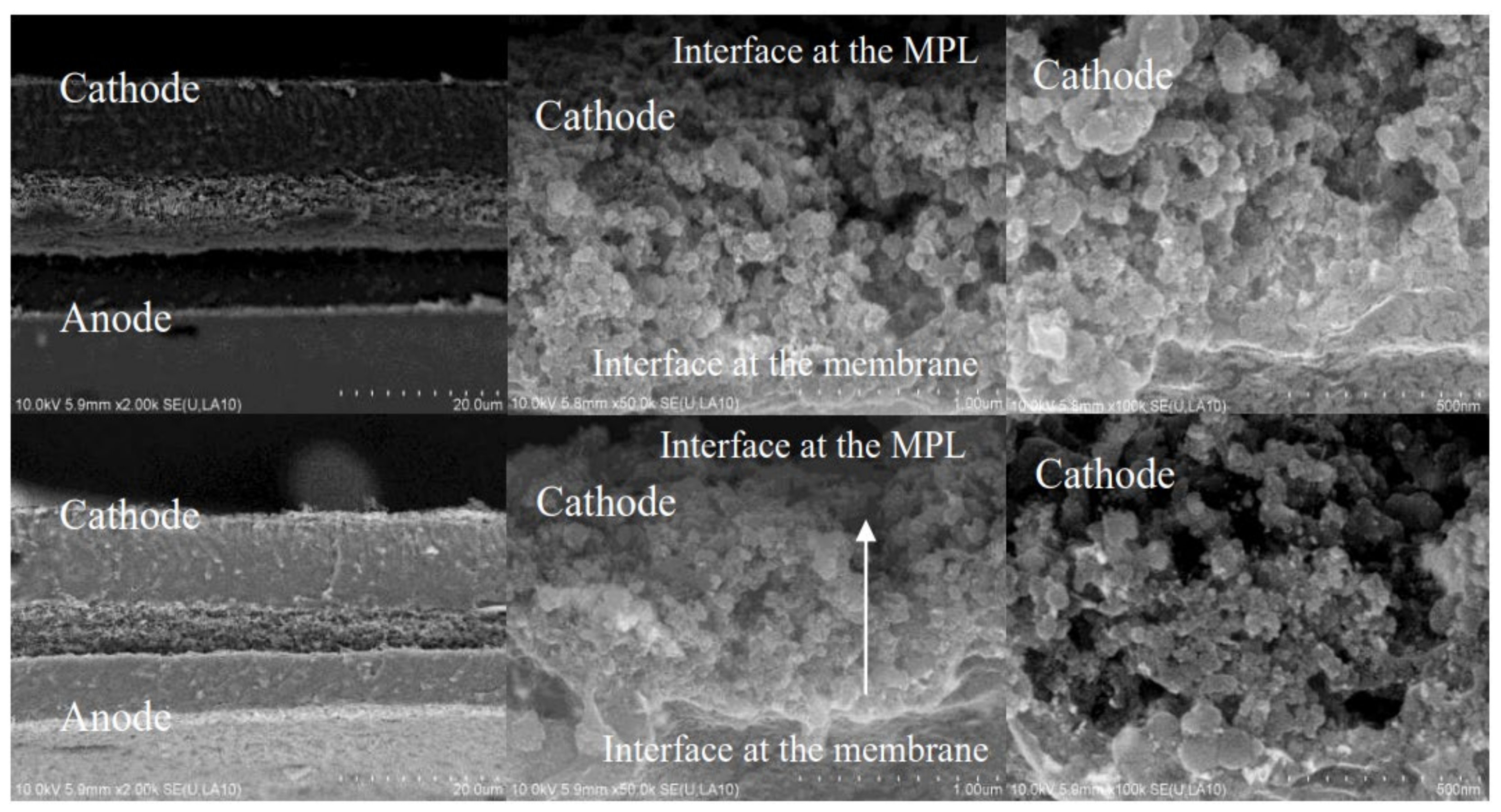 Membranes 11 00879 g005
