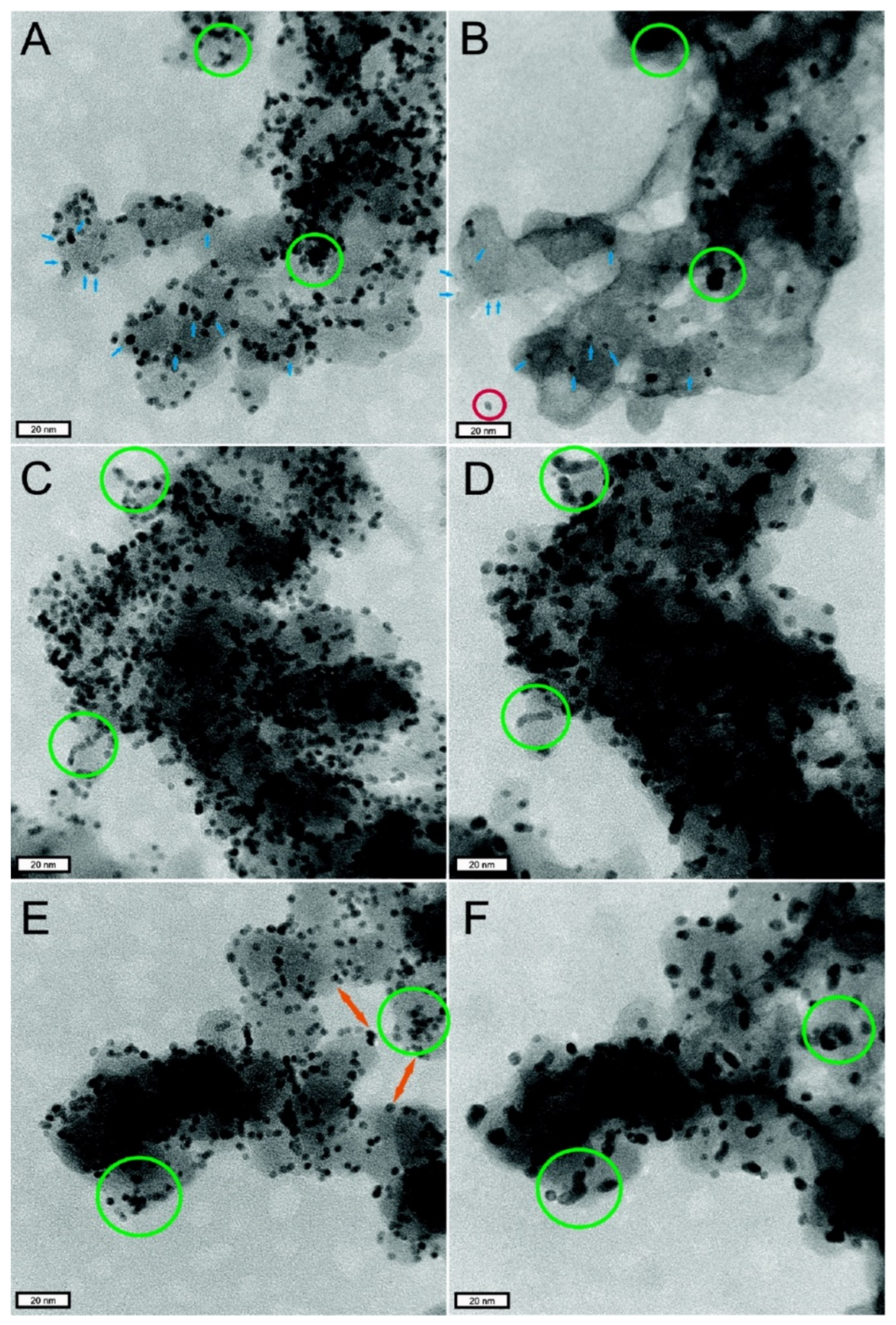 Membranes 11 00879 g008