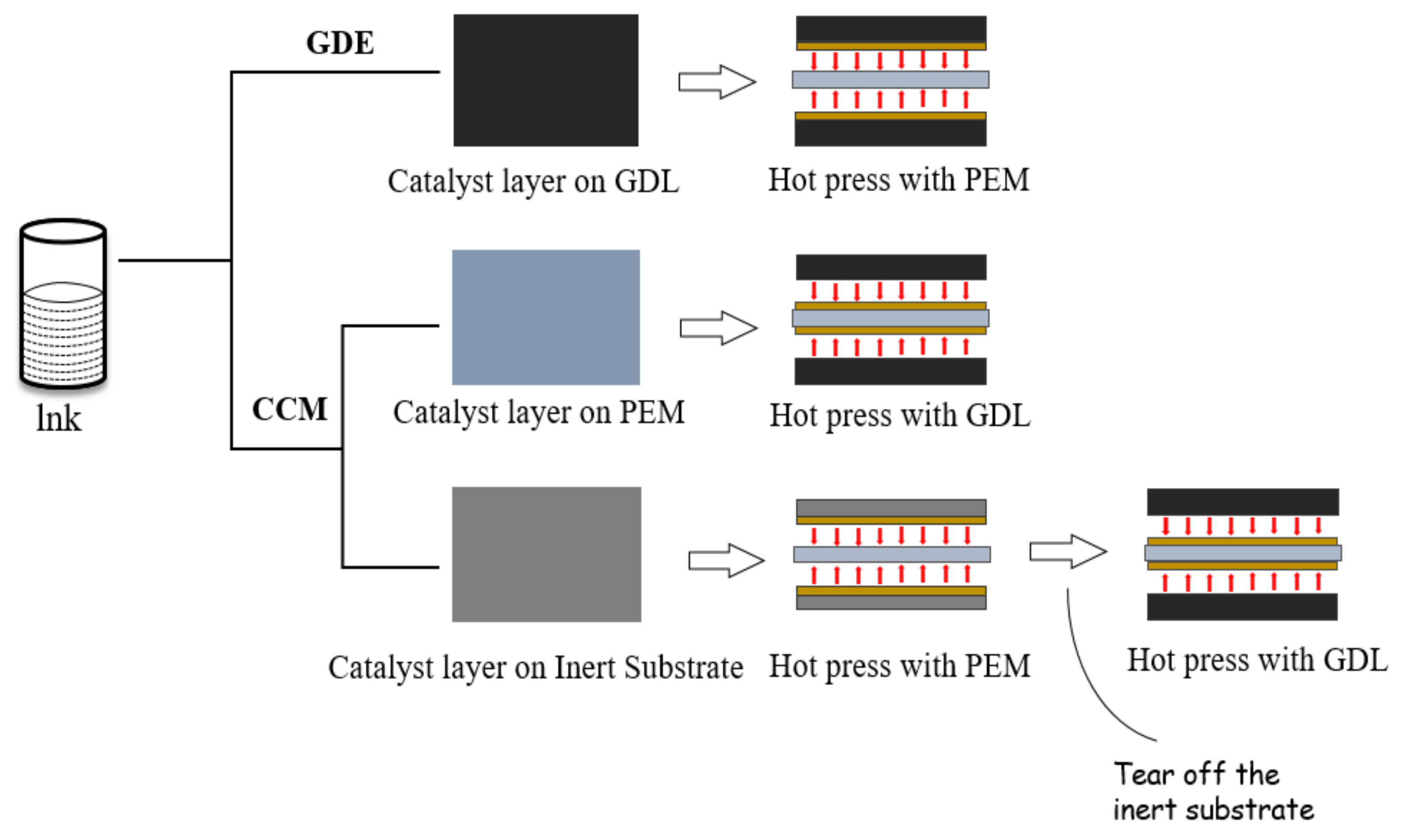 Membranes 11 00879 g009