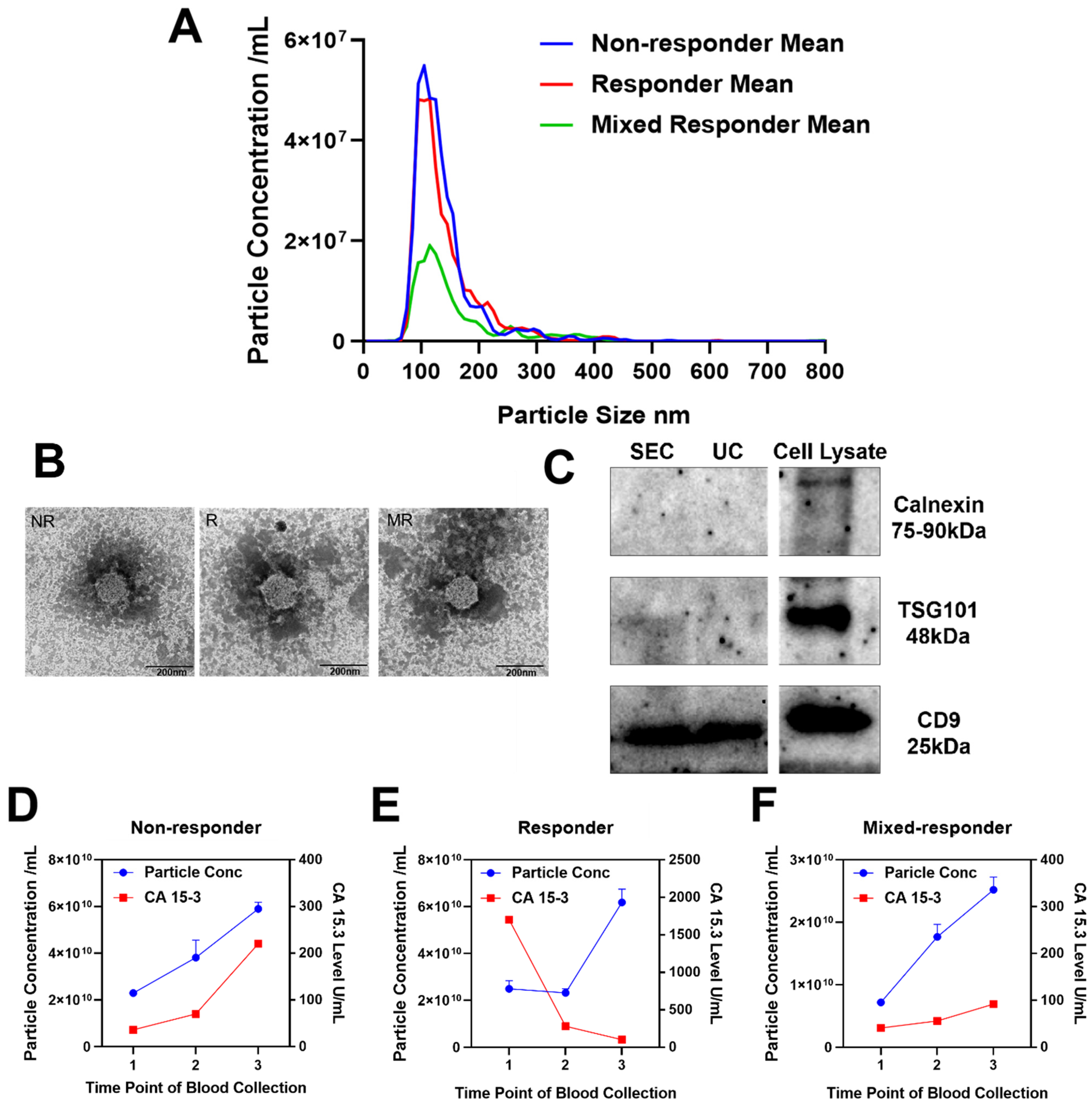Membranes 11 00880 g002