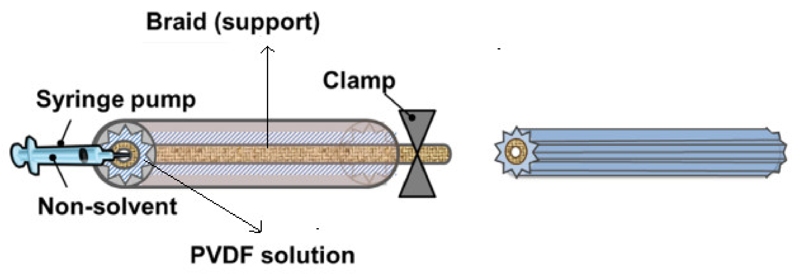 Membranes 11 00884 g003
