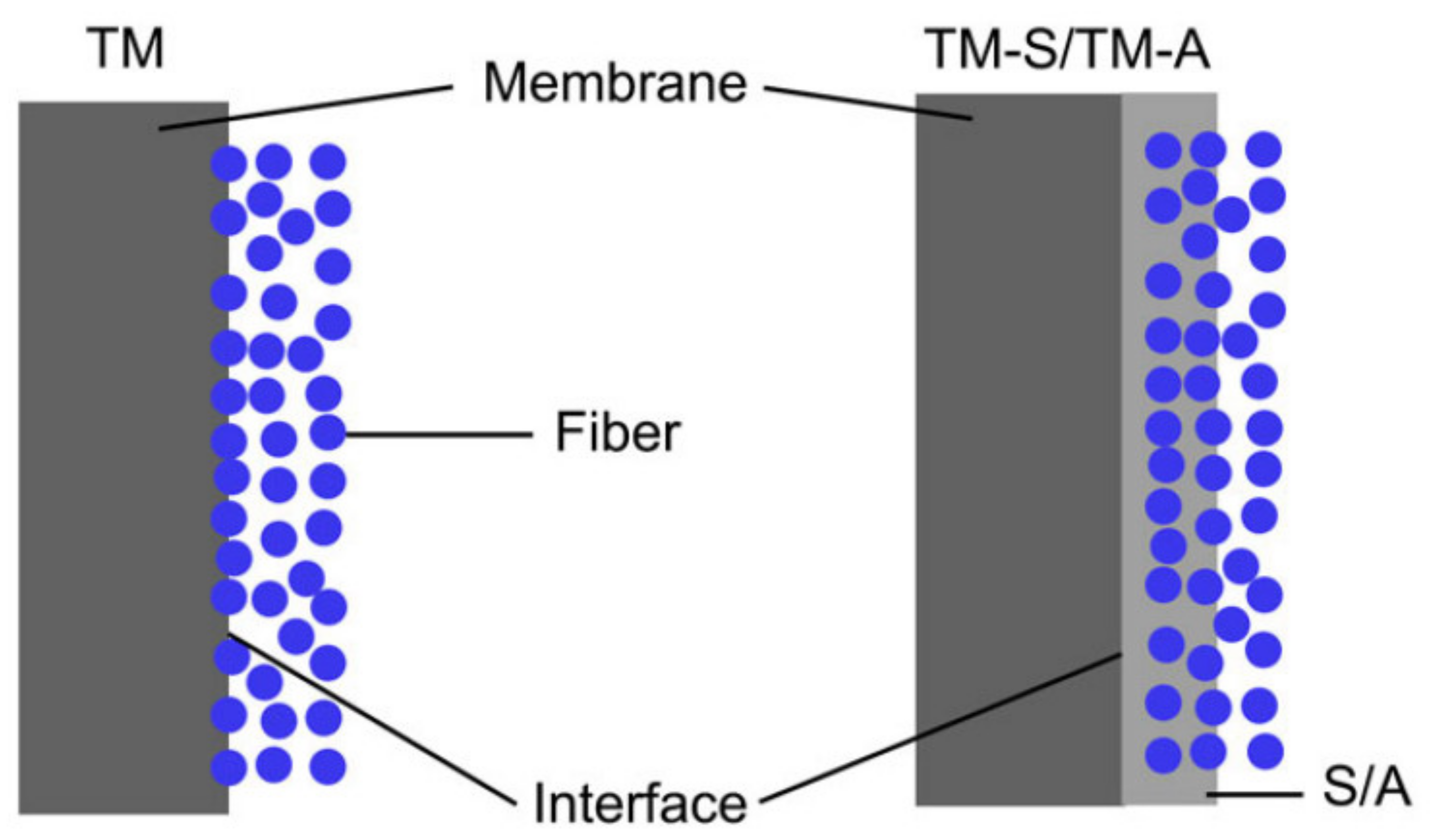 Membranes 11 00884 g009
