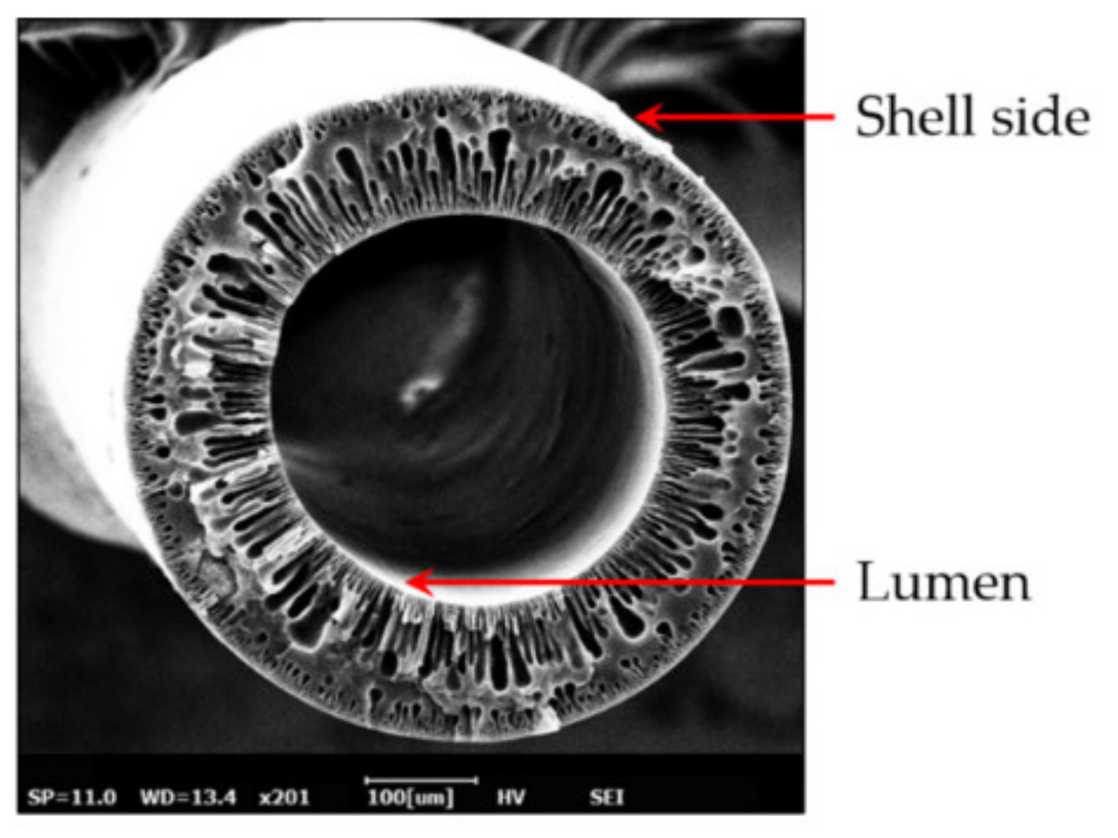 Membranes 11 00884 g011