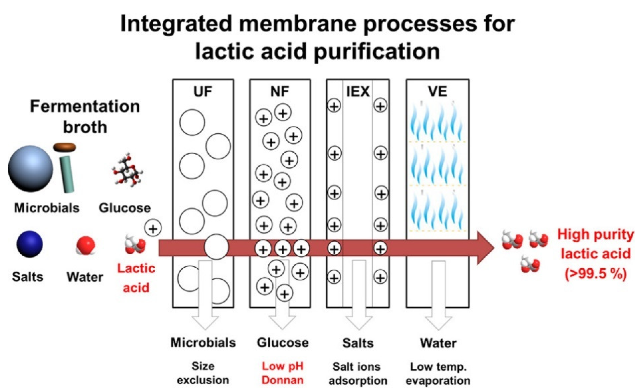 Membranes 11 00890 g009