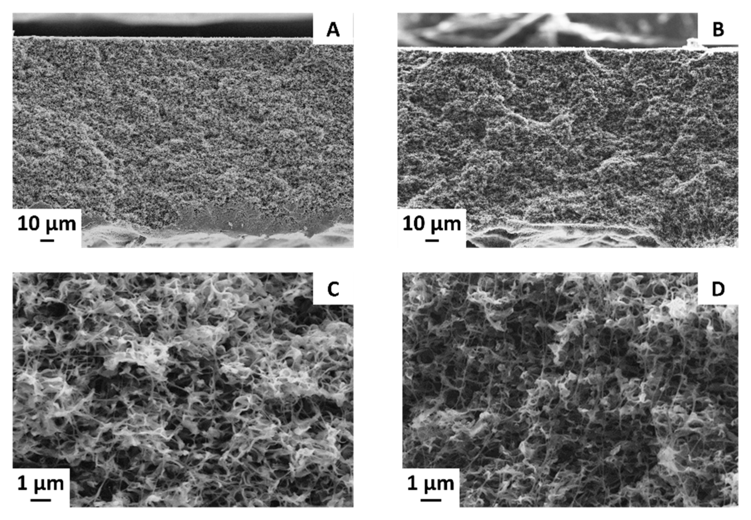 Membranes 11 00896 g003