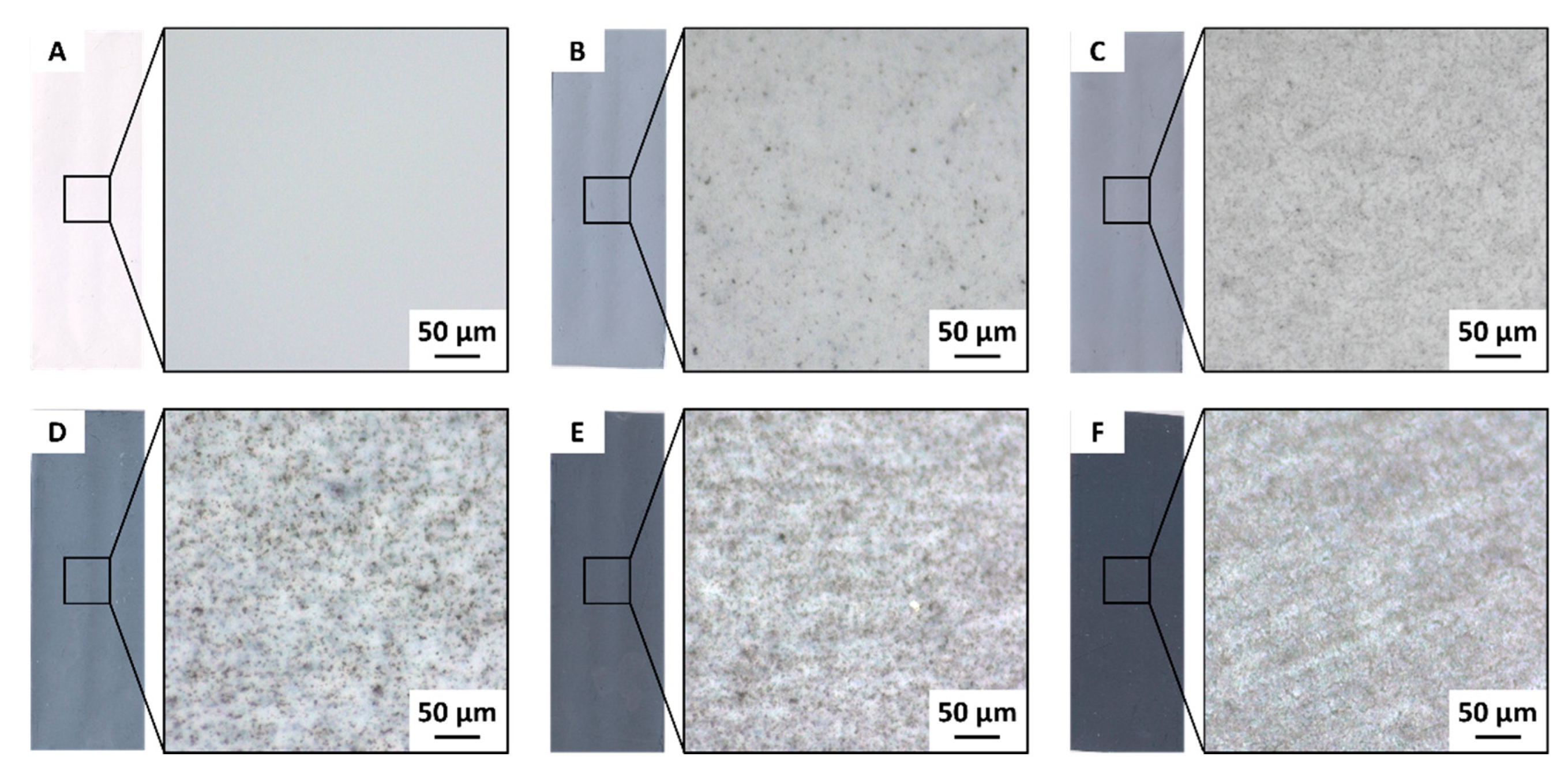 Membranes 11 00896 g005