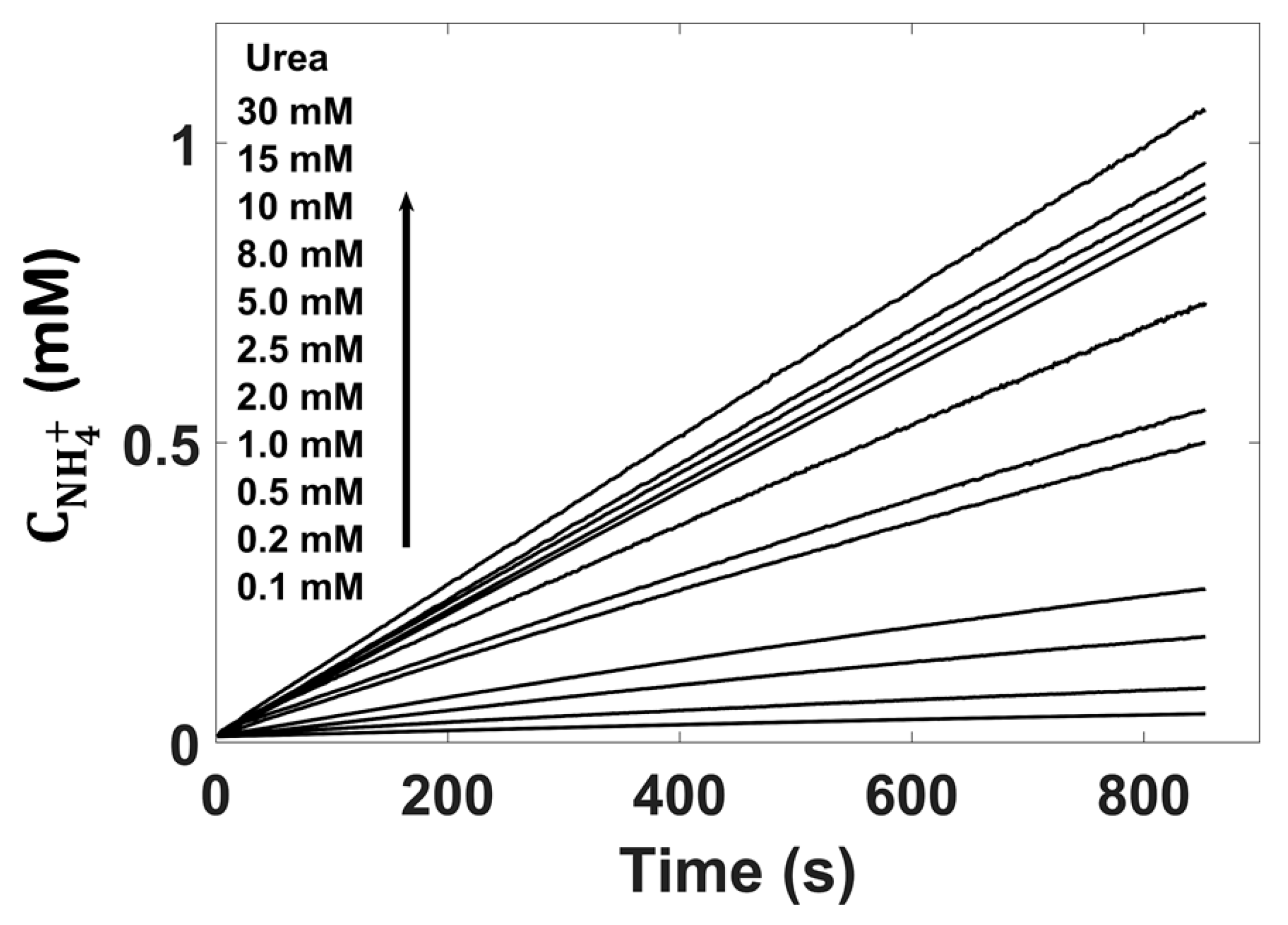 Membranes Free FullText Highly Stable Potentiometric (Bio)Sensor