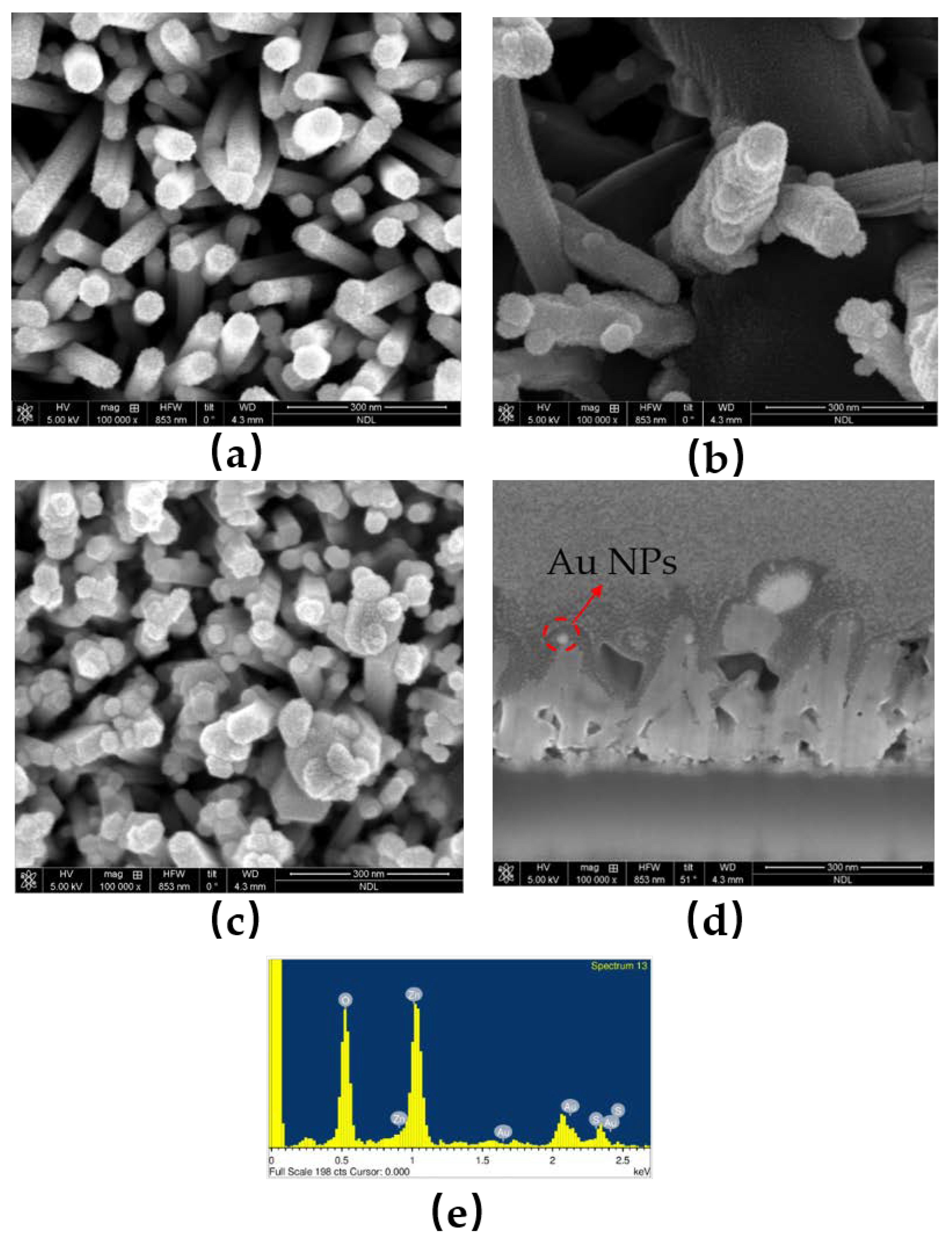 Membranes 11 00903 g002