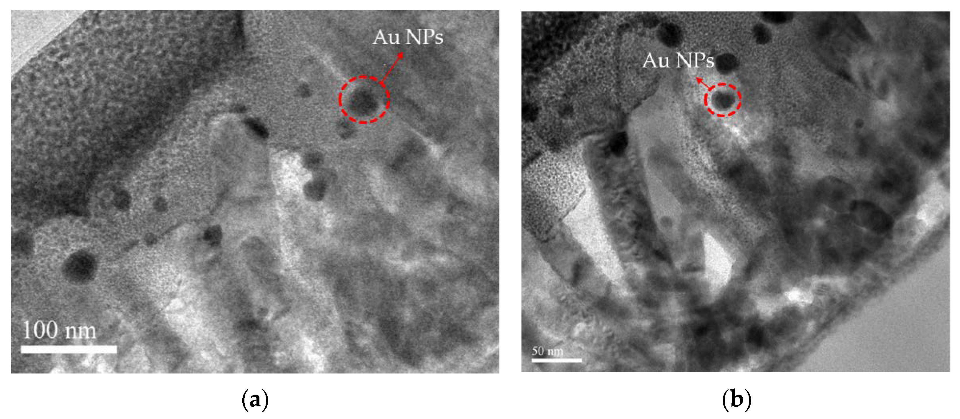 Membranes 11 00903 g003