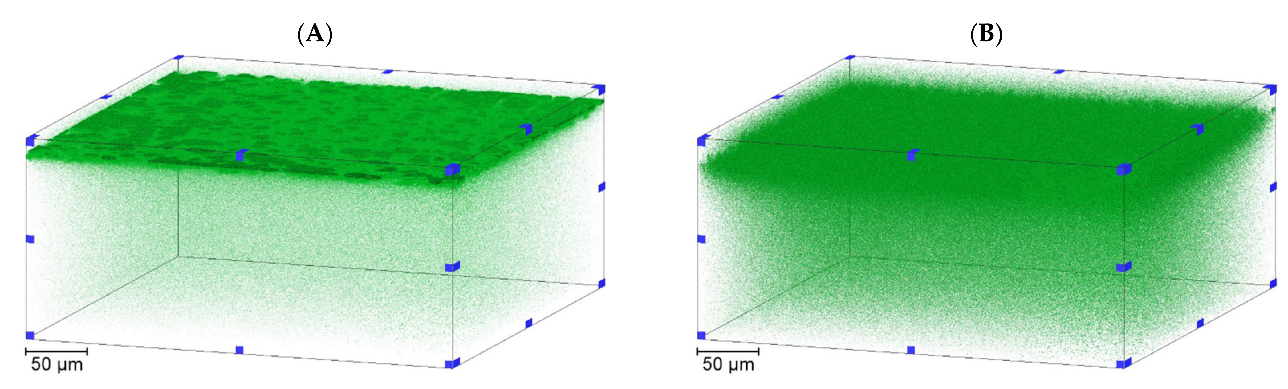 Membranes 11 00905 g005