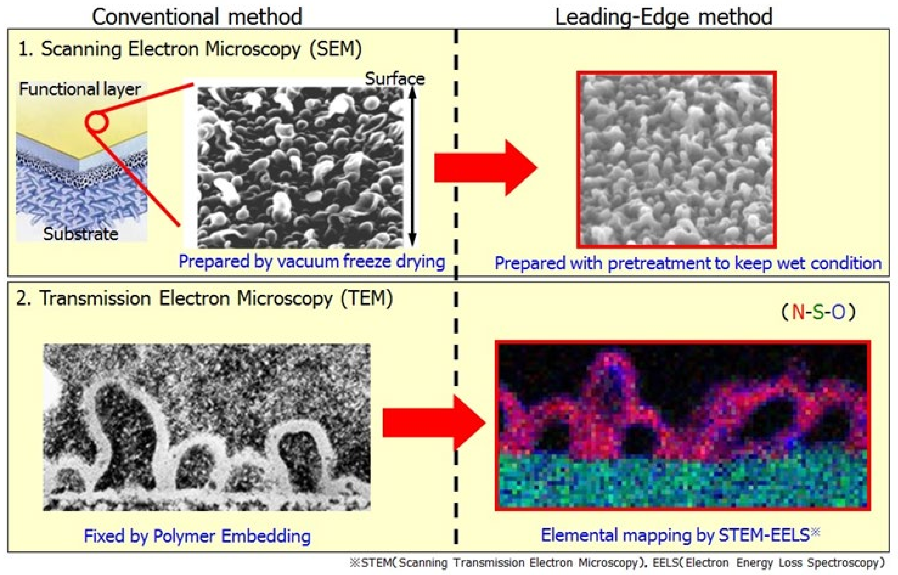 Membranes 11 00906 g010 550