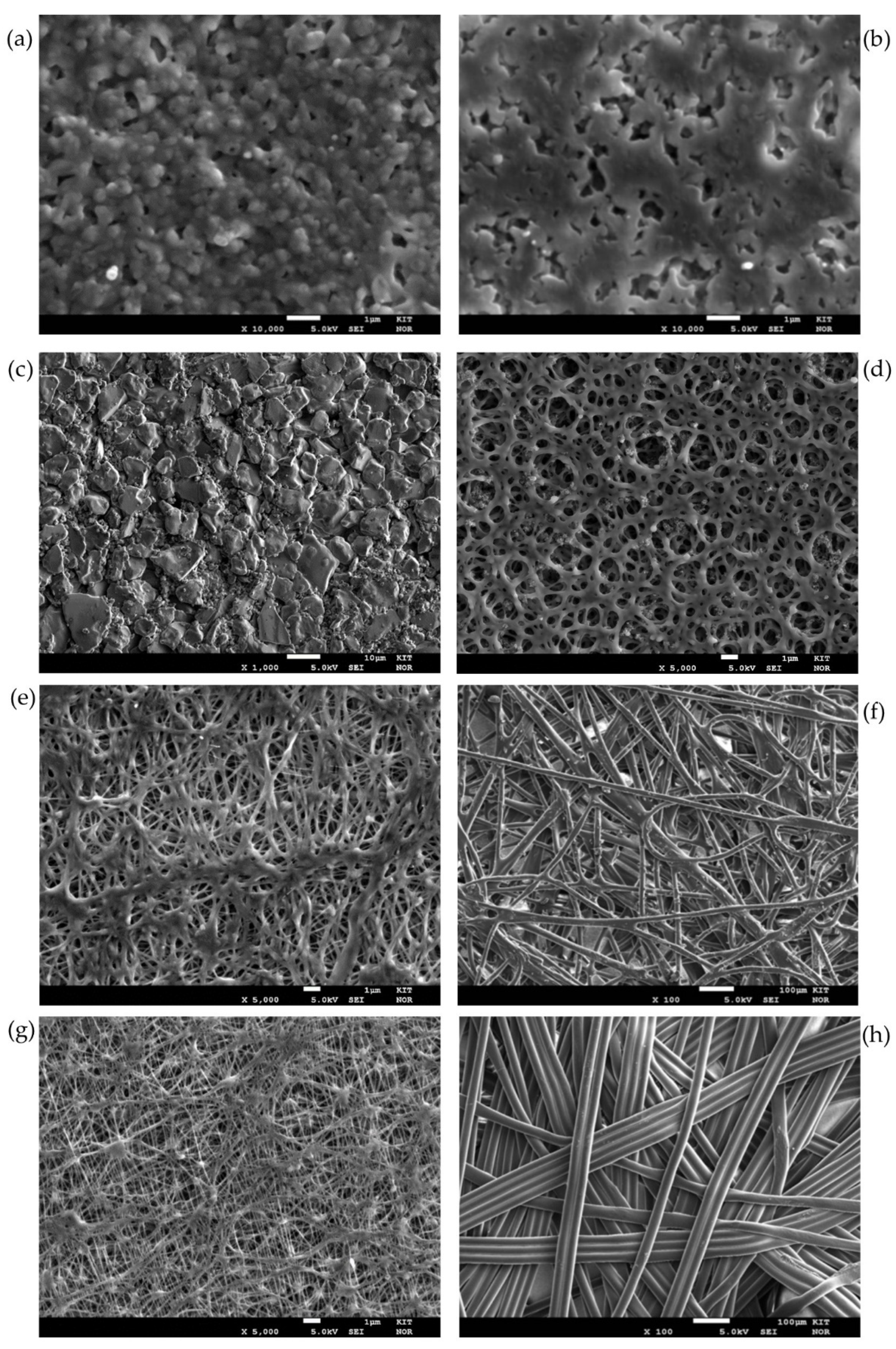 Membranes 11 00907 g005 550