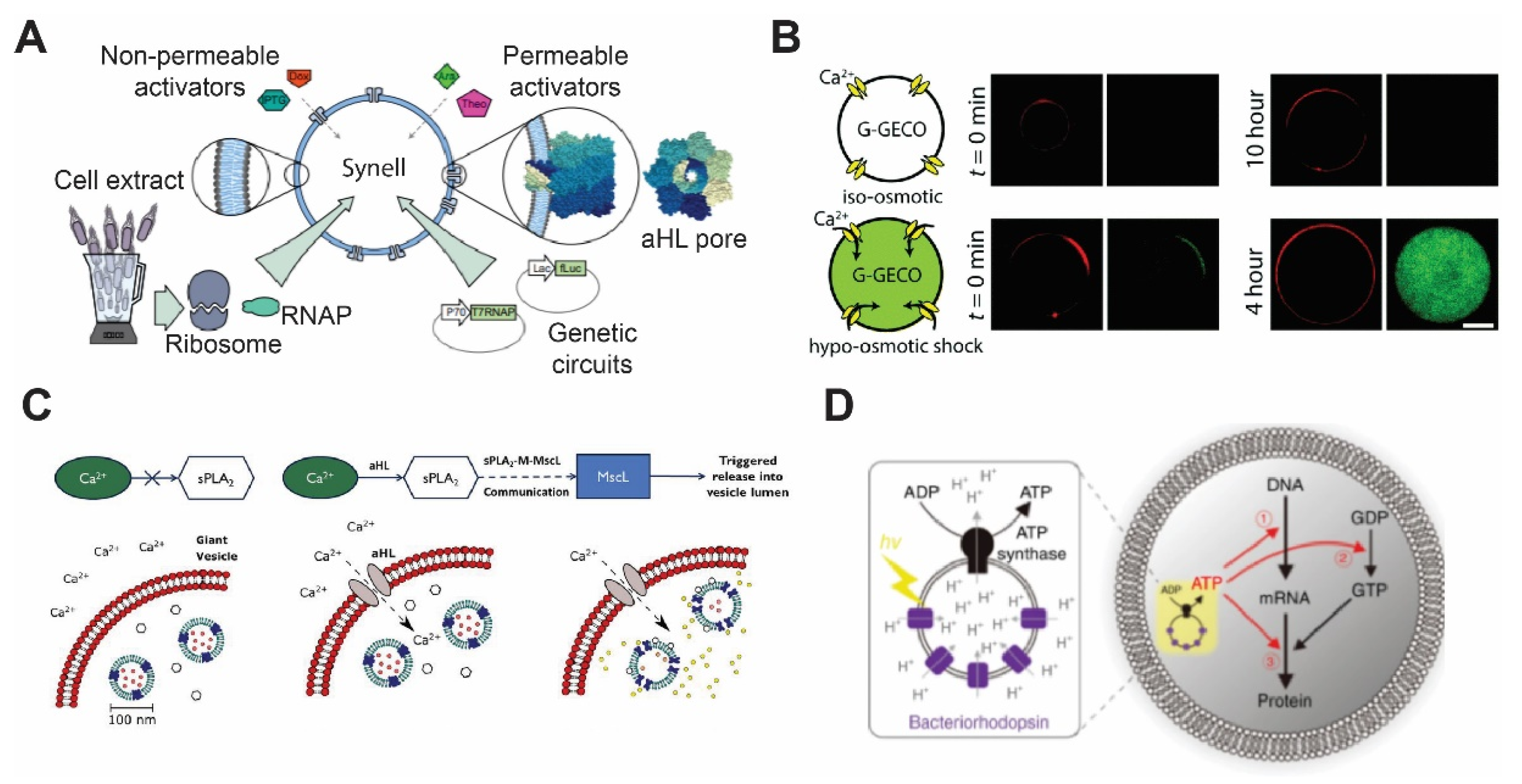 Membranes 11 00912 g002