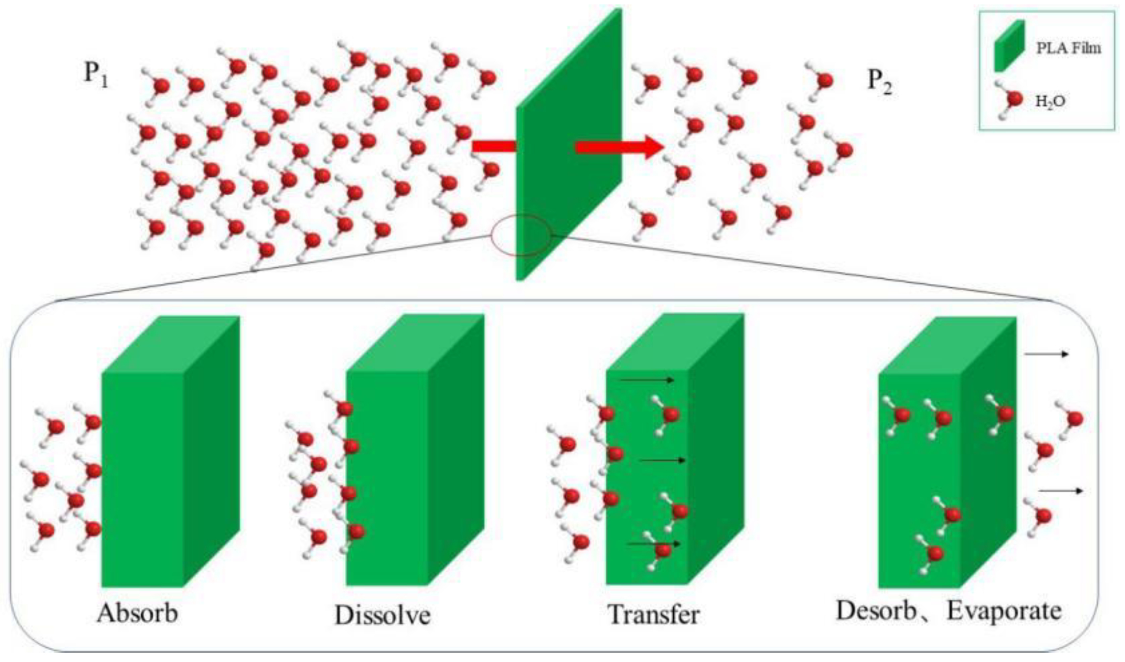 Membranes 11 00915 g012