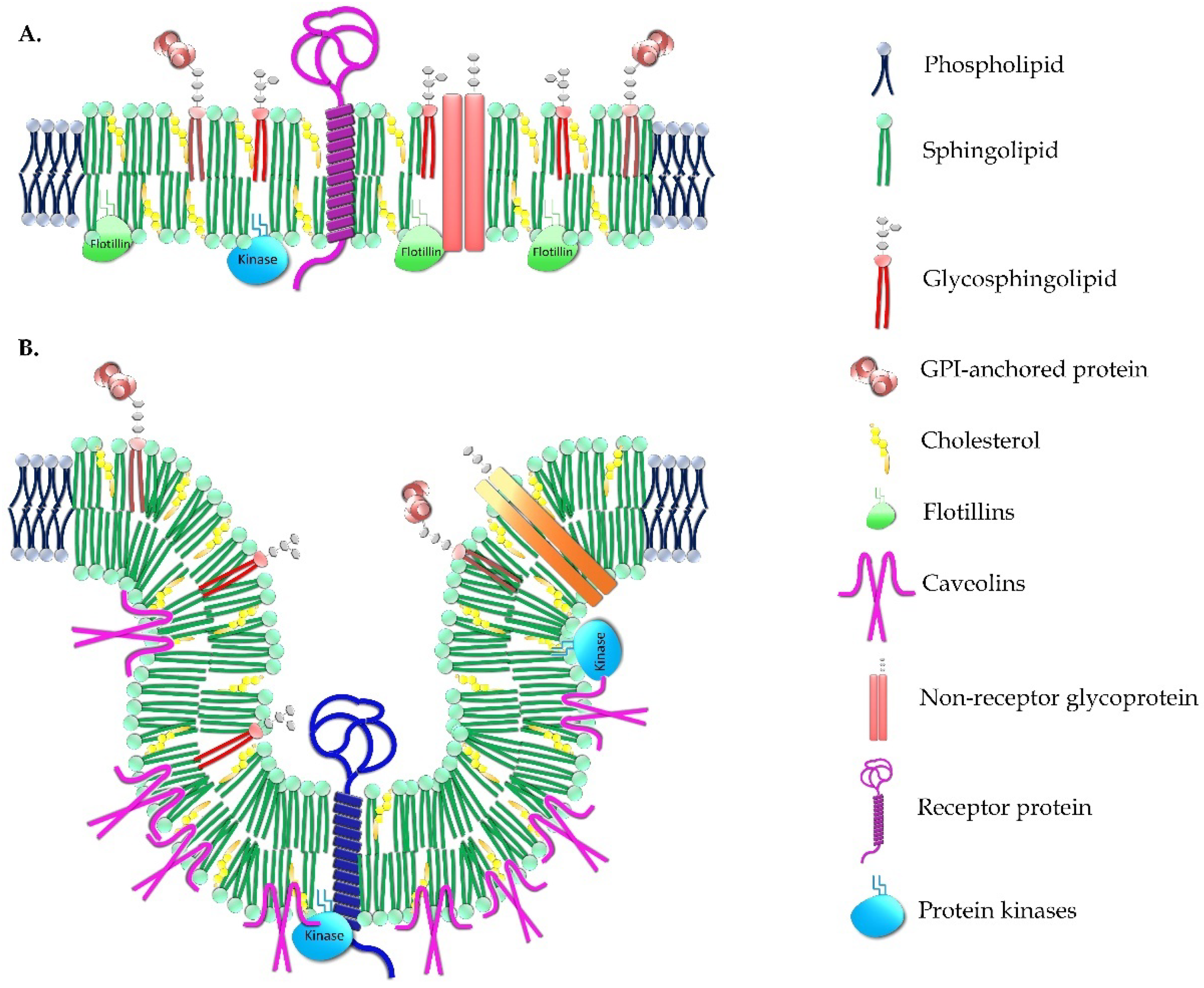 Membranes 11 00919 g002 Membranes 11 00919 g002