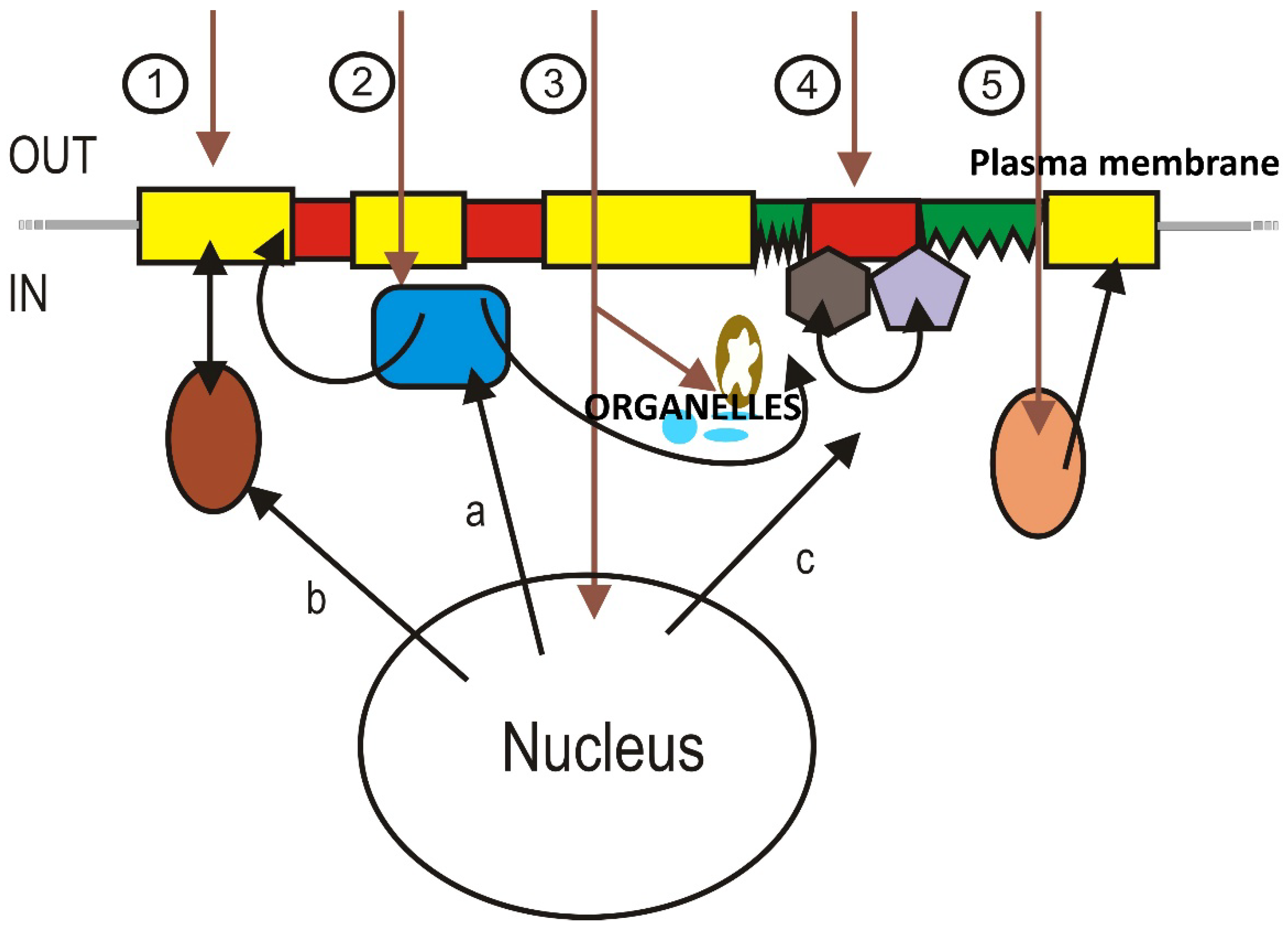 Membranes 11 00919 g003 Membranes 11 00919 g003