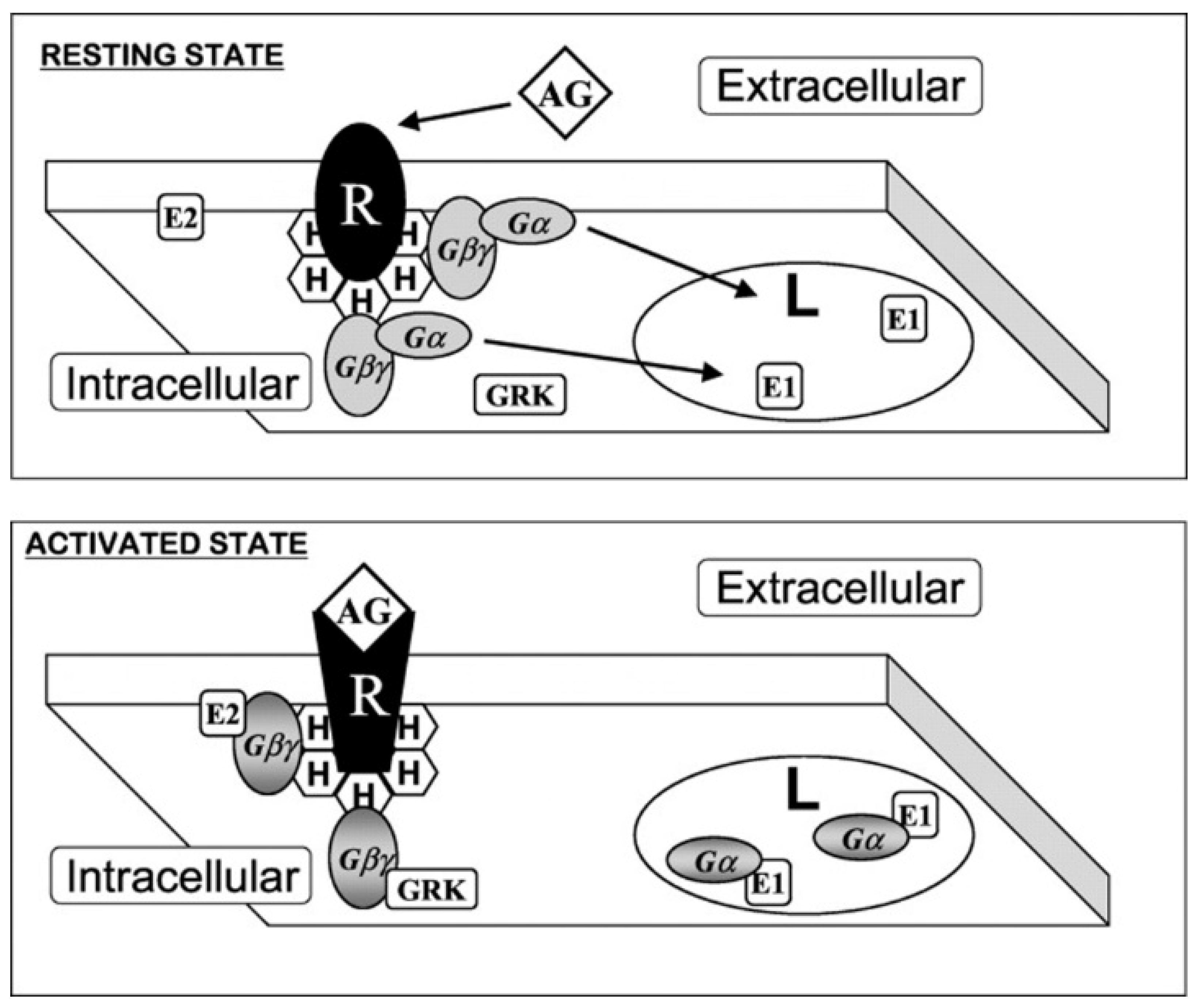 Membranes 11 00919 g004 Membranes 11 00919 g004