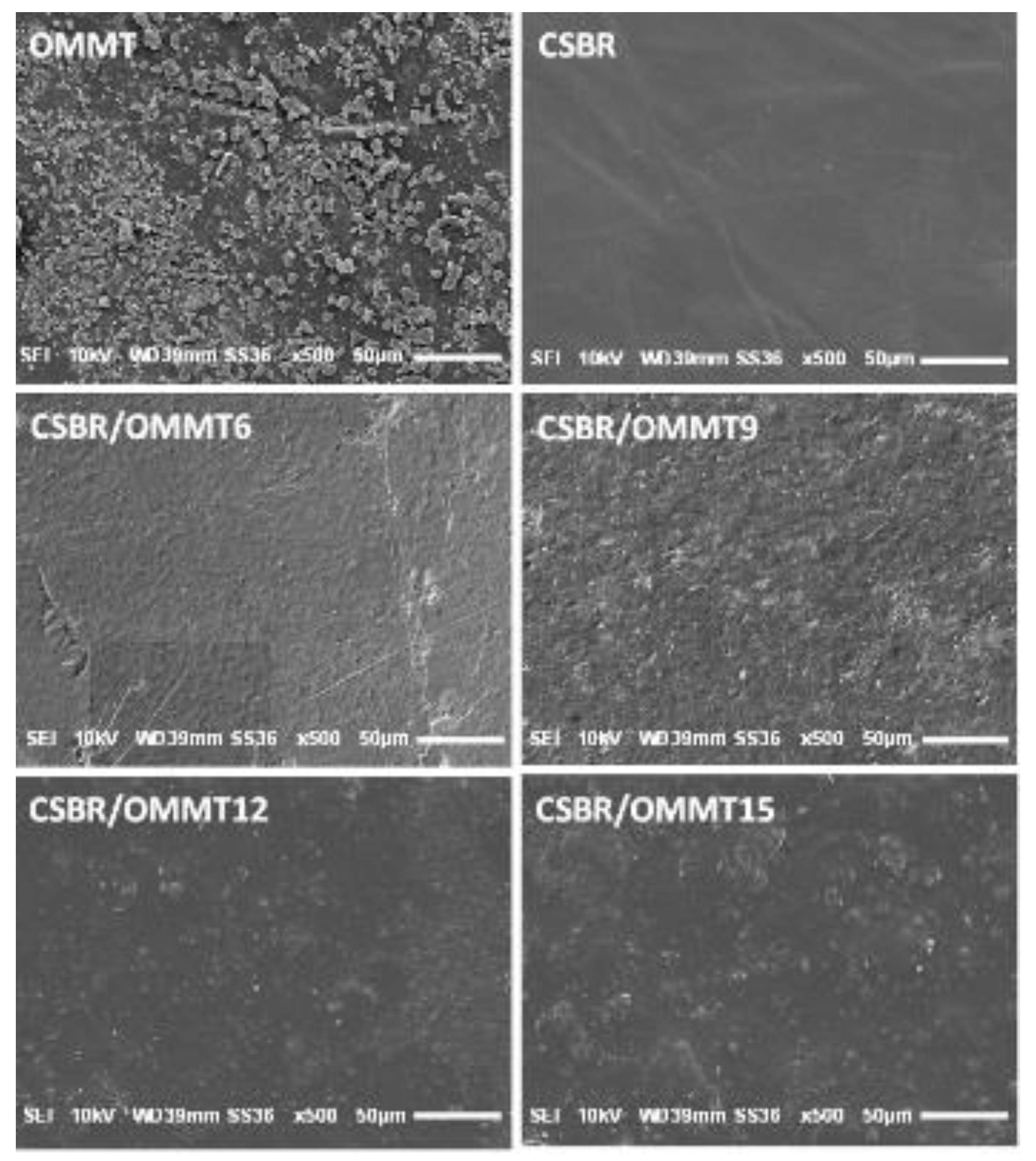 Membranes 11 00921 g003