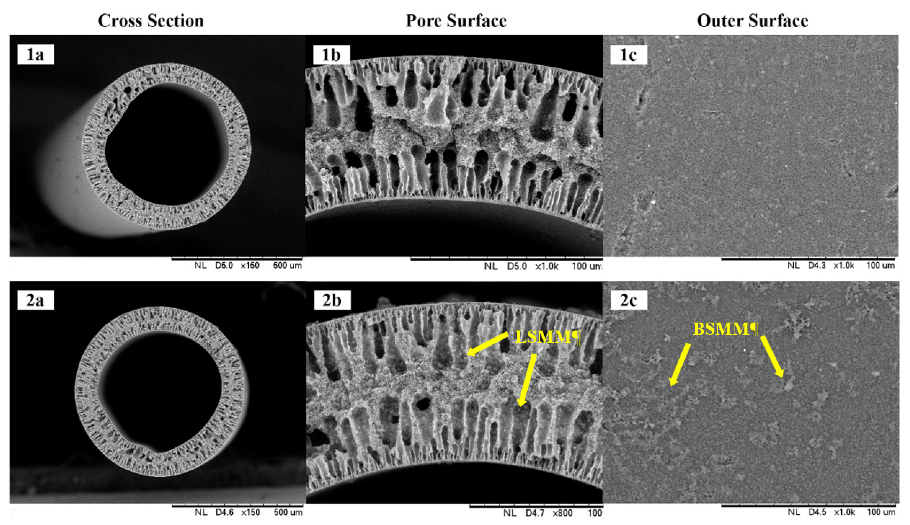 Membranes 11 00924 g005