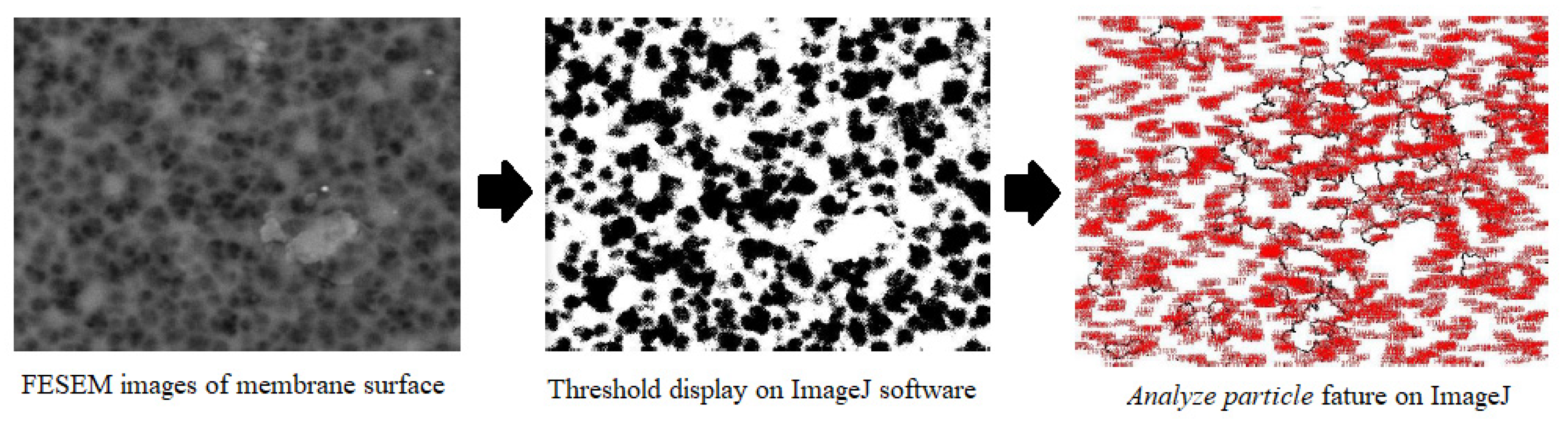 Membranes 11 00924 g006