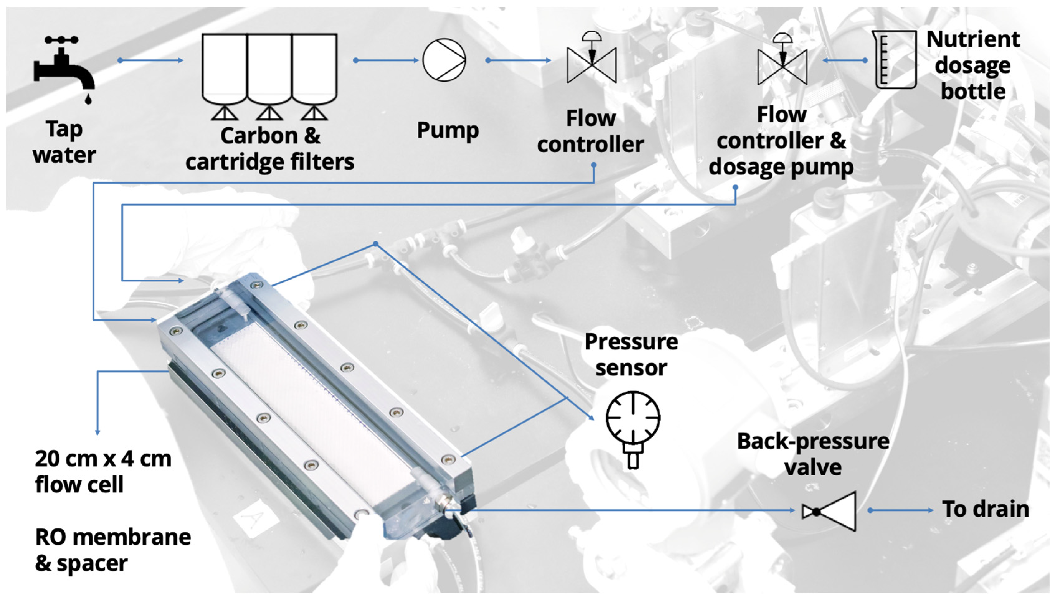 Membranes 11 00928 g001 Membranes 11 00928 g001