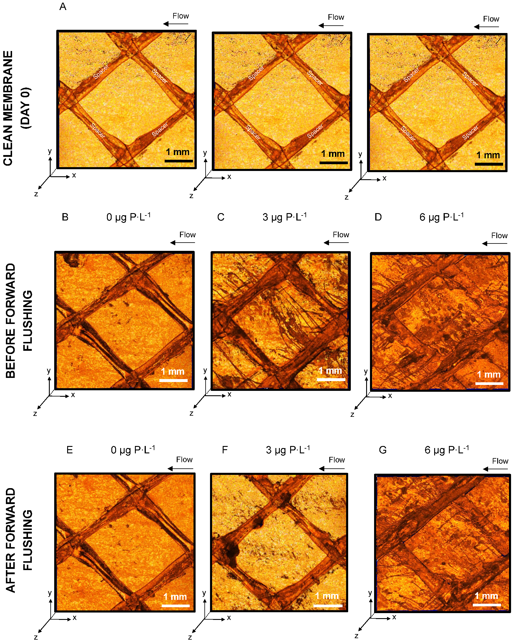 Membranes 11 00928 g003 Membranes 11 00928 g003