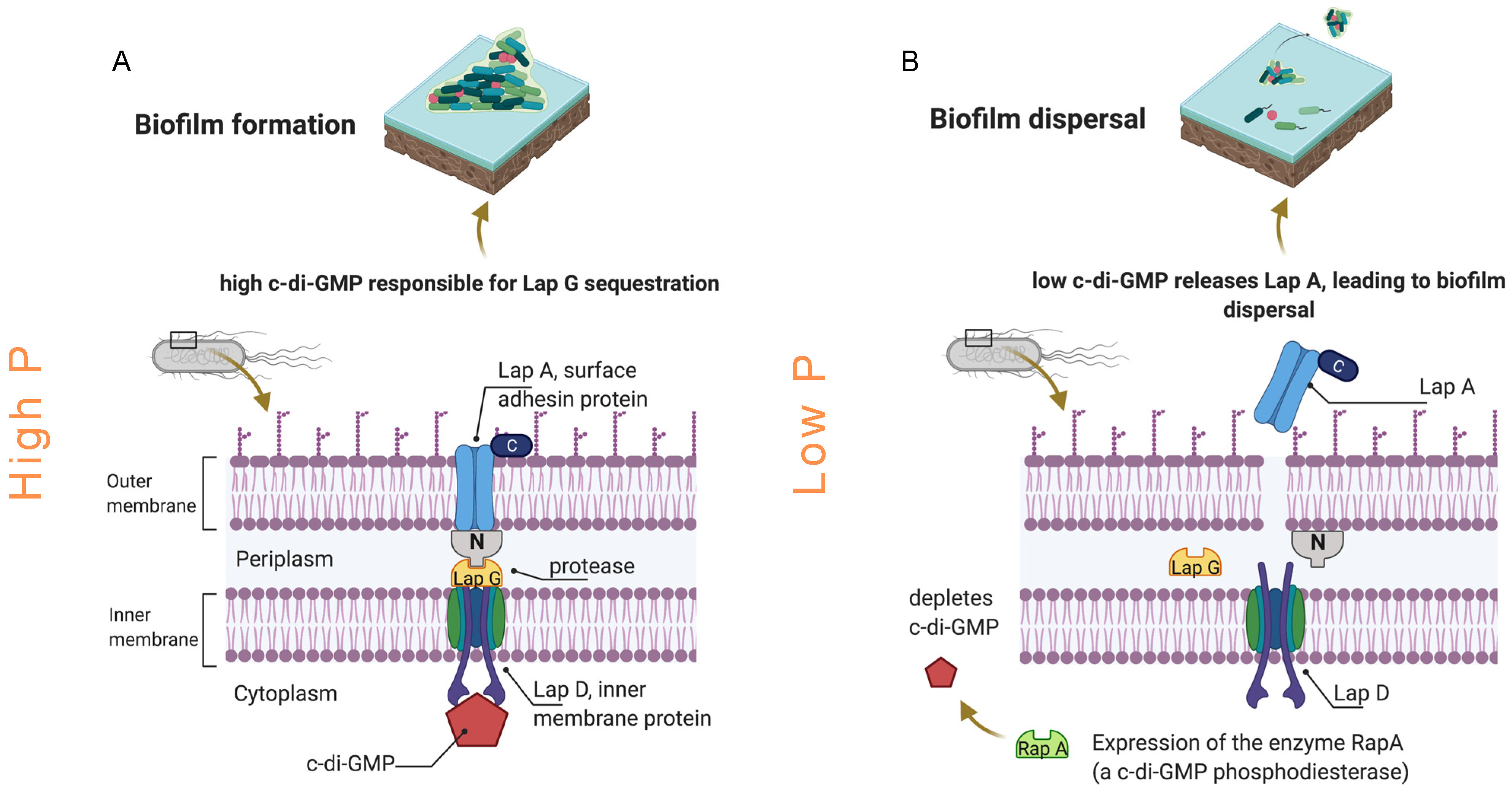 Membranes 11 00928 g007 Membranes 11 00928 g007
