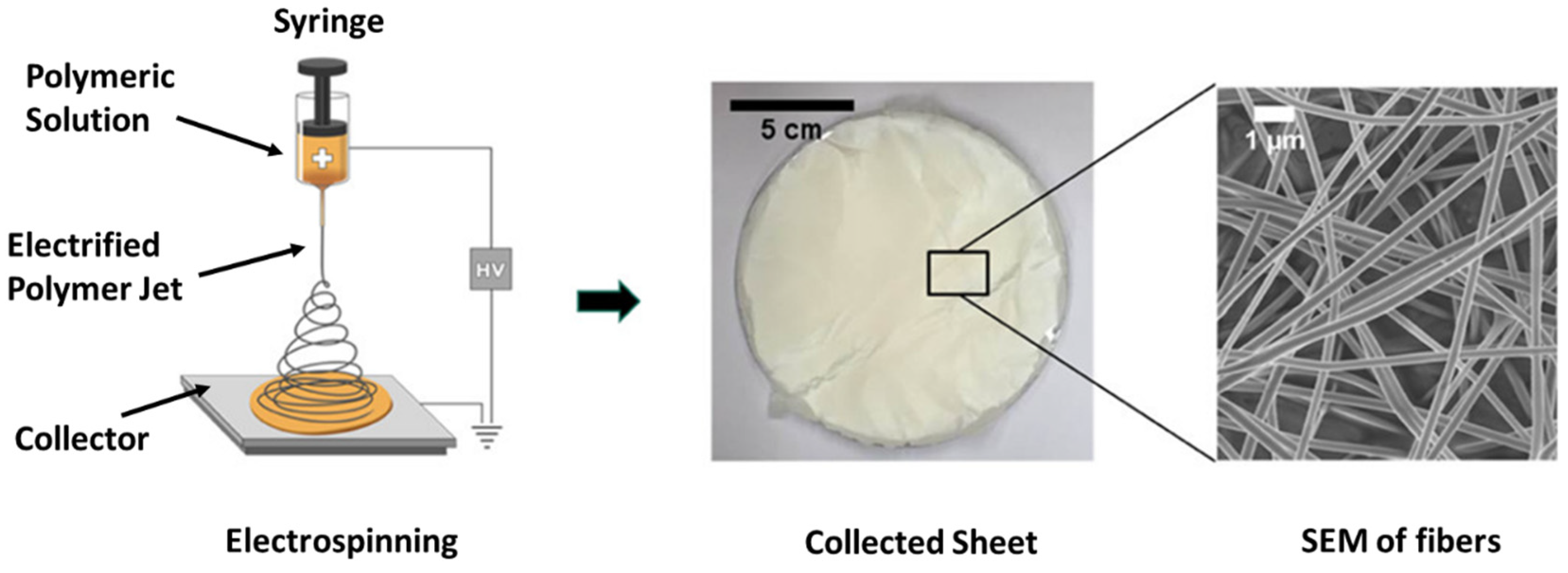 Membranes 11 00934 g006