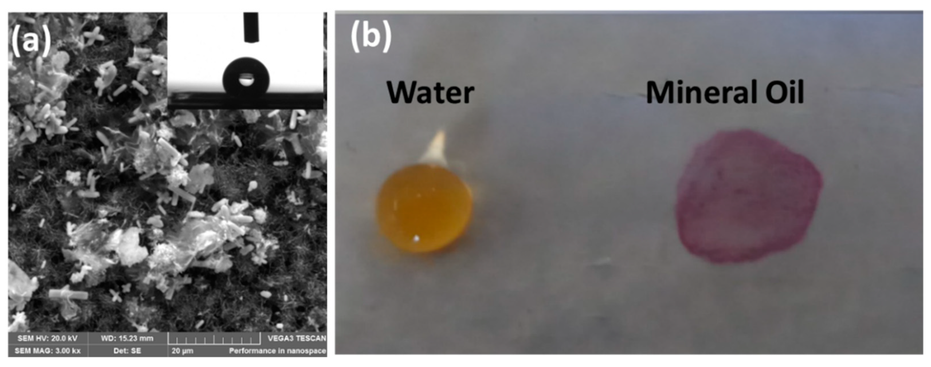 Membranes 11 00934 g010