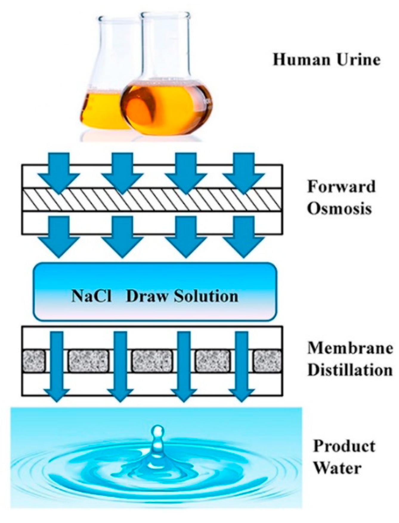 Membranes 11 00934 g014