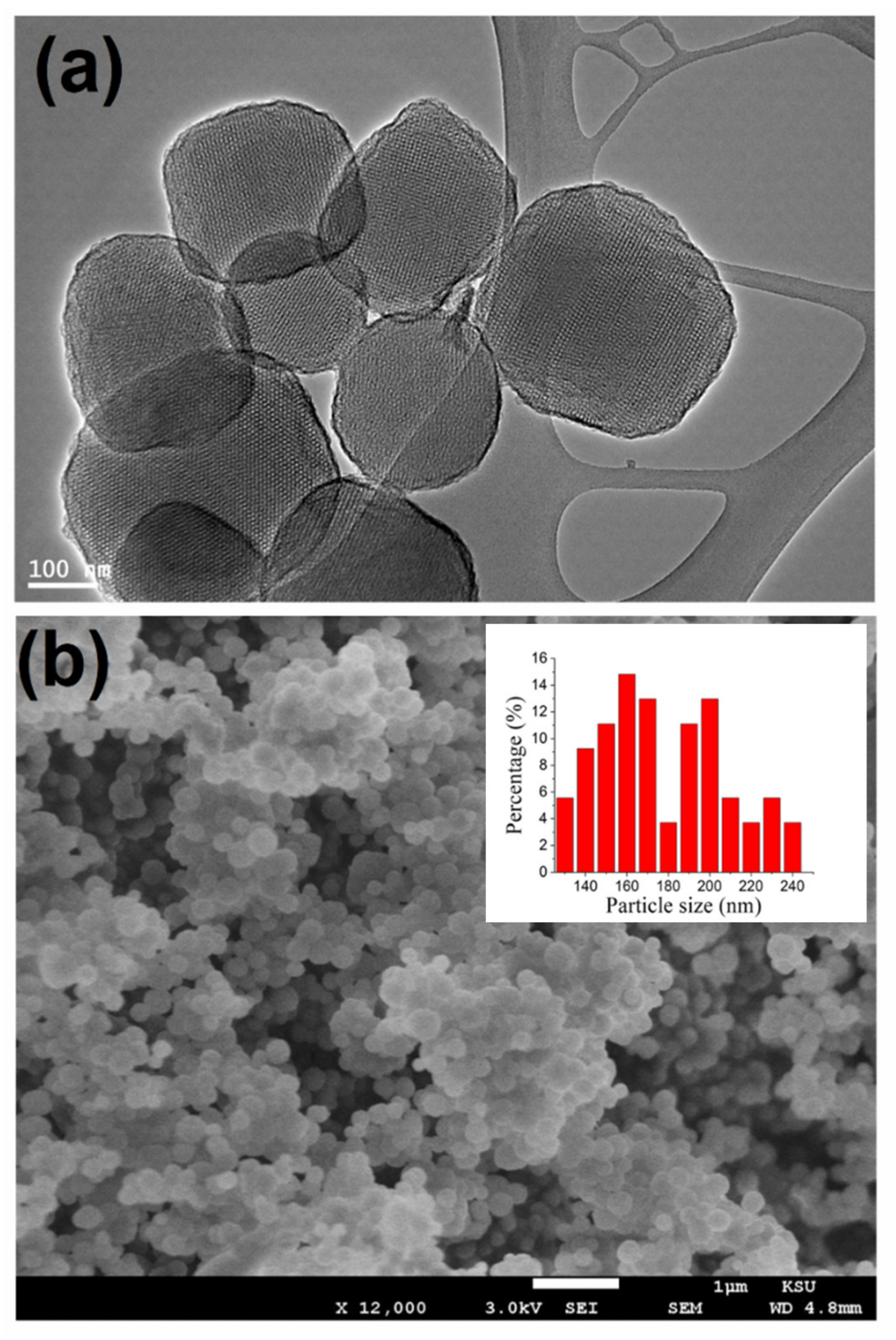 Membranes 11 00935 g003 550