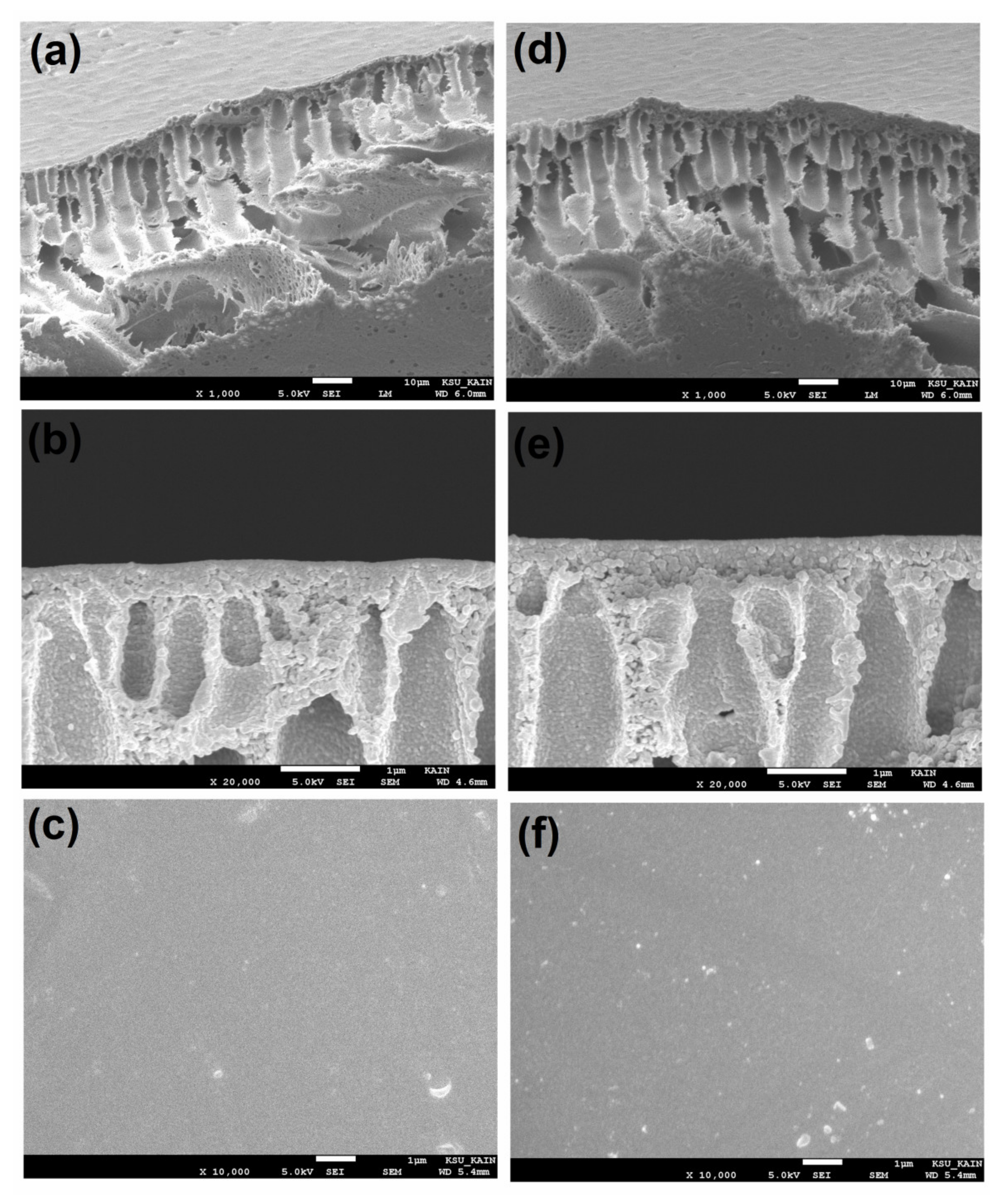 Membranes 11 00935 g006 550