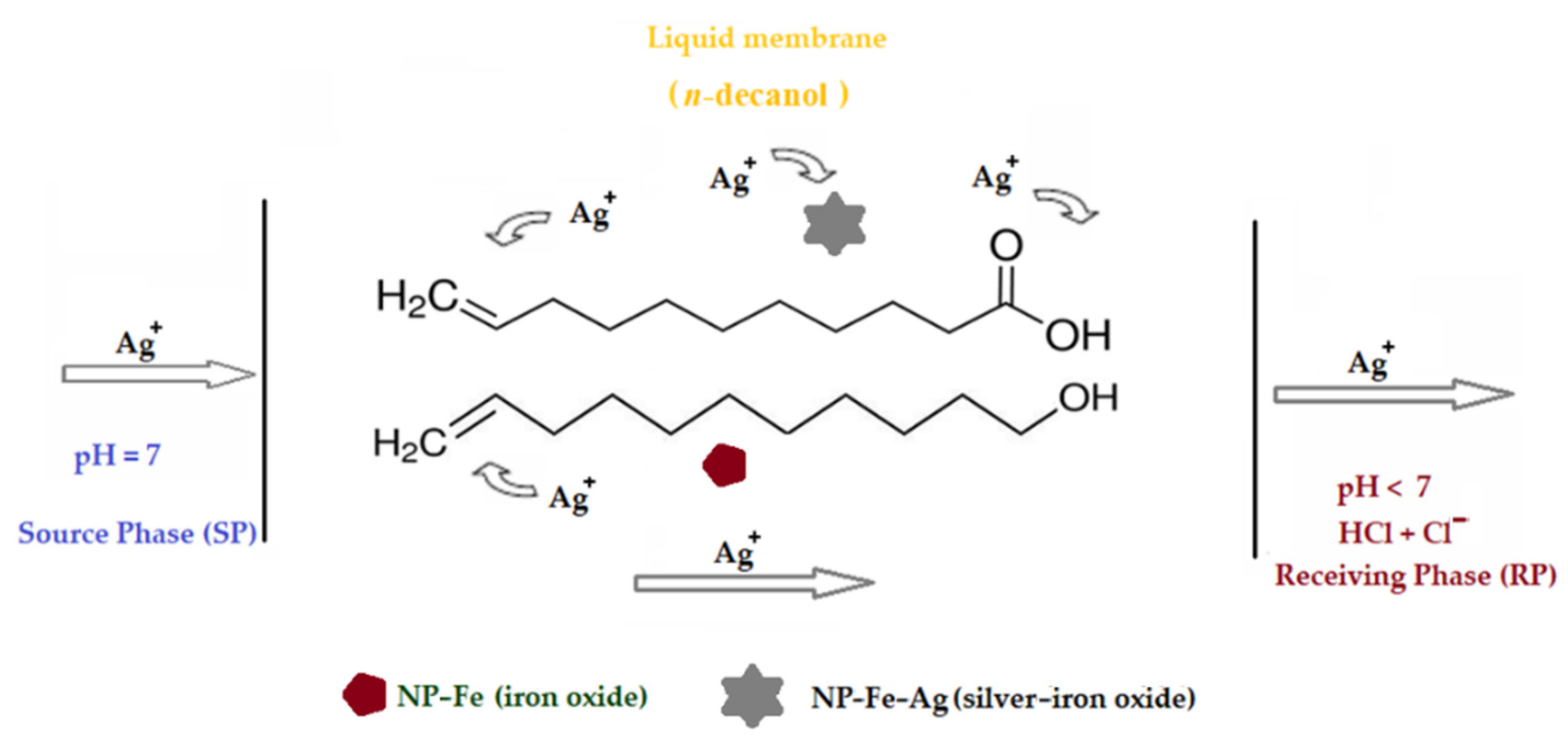 Membranes 11 00936 g009 550