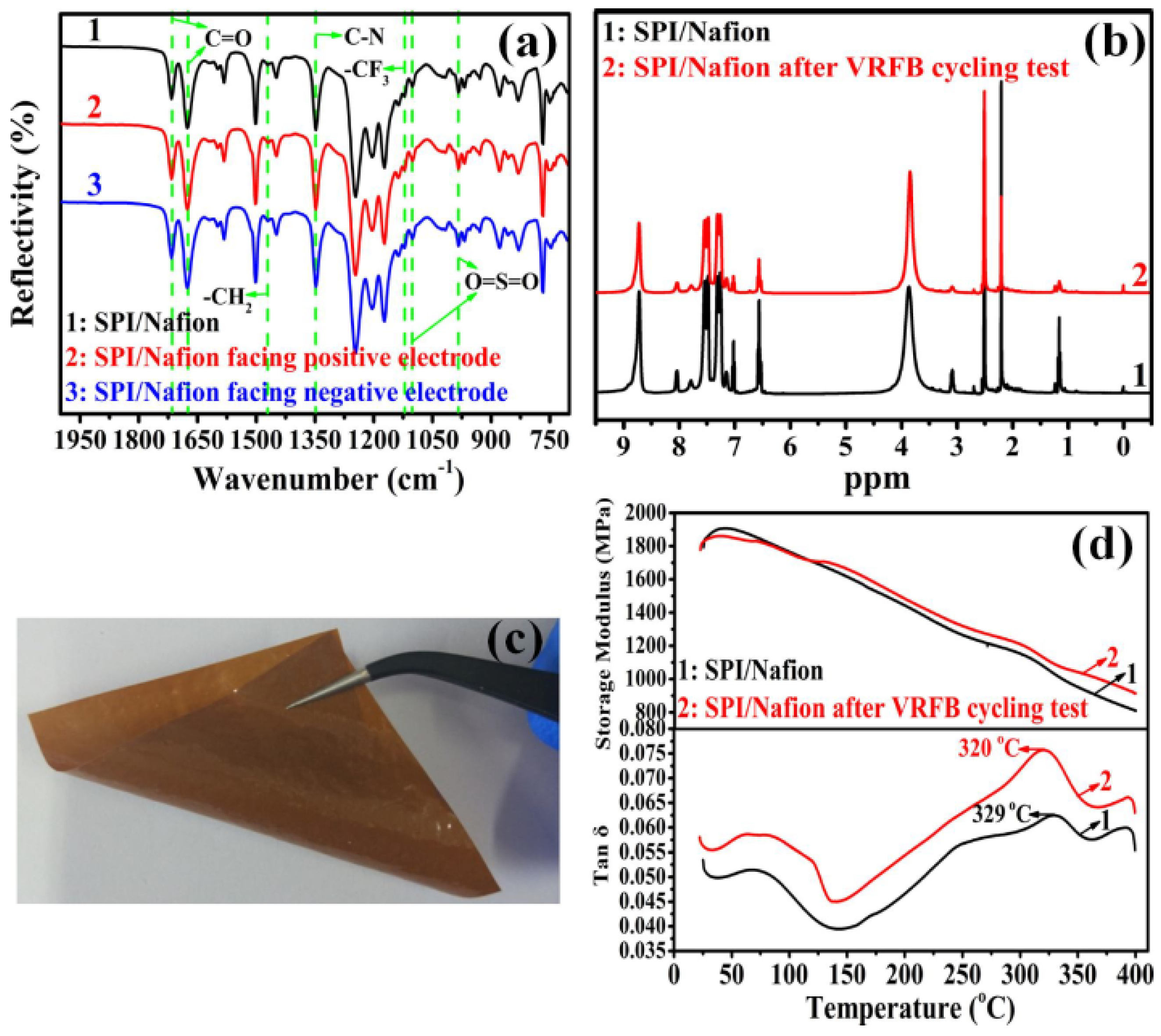 Membranes 11 00946 g008