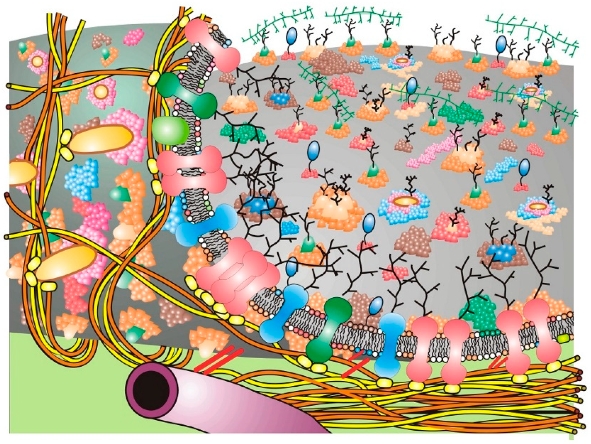 Membranes 11 00947 g002
